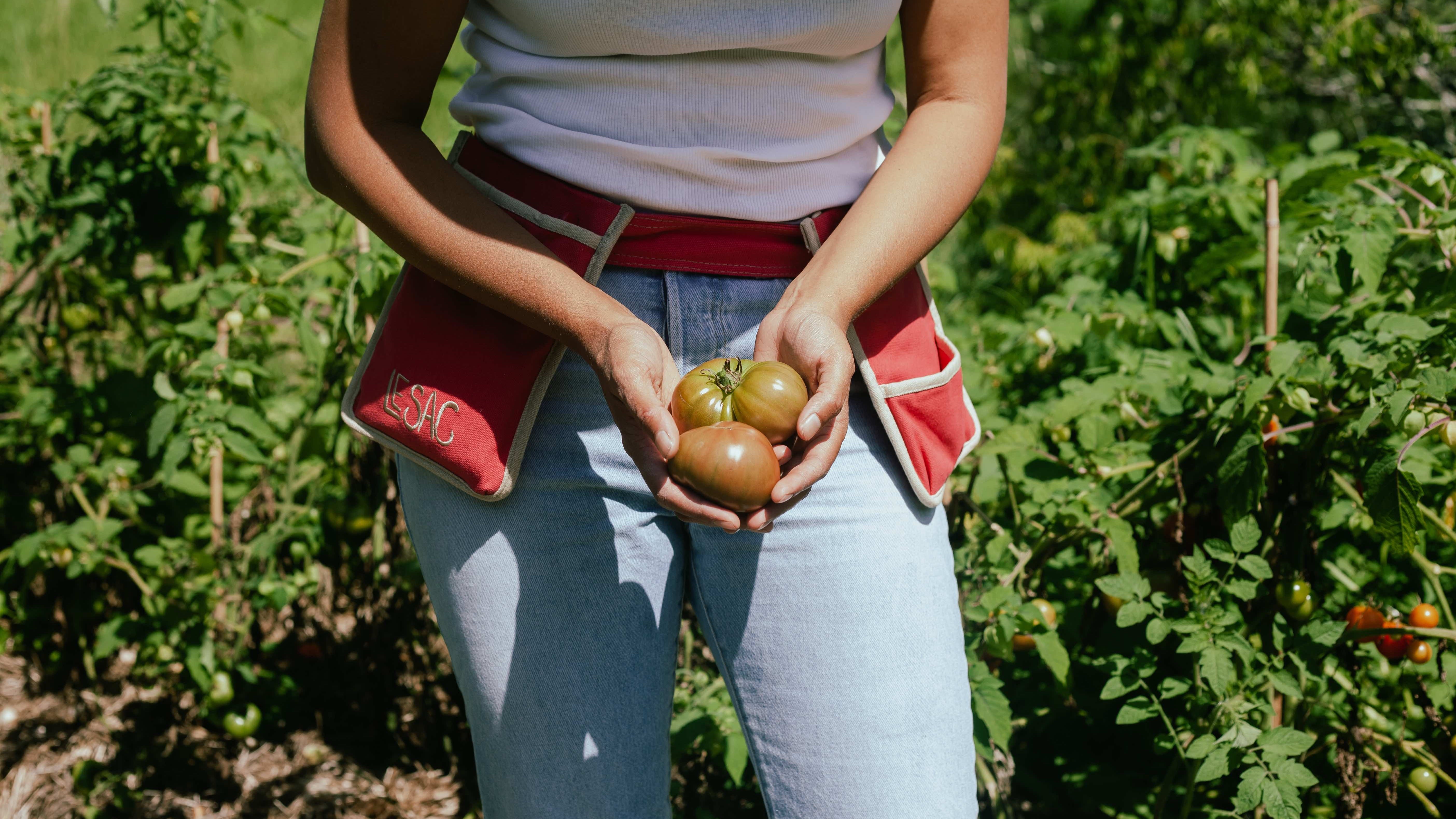 Seasons on the Farm - February