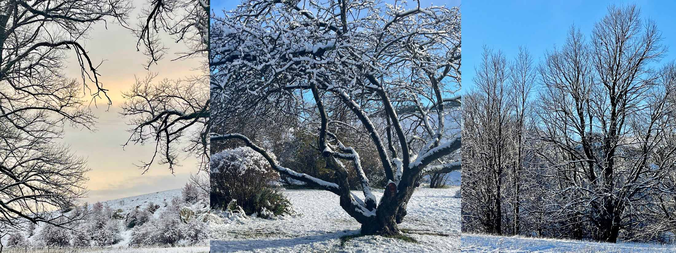 Trisha's Meanderings: When Snow Changes Everything
