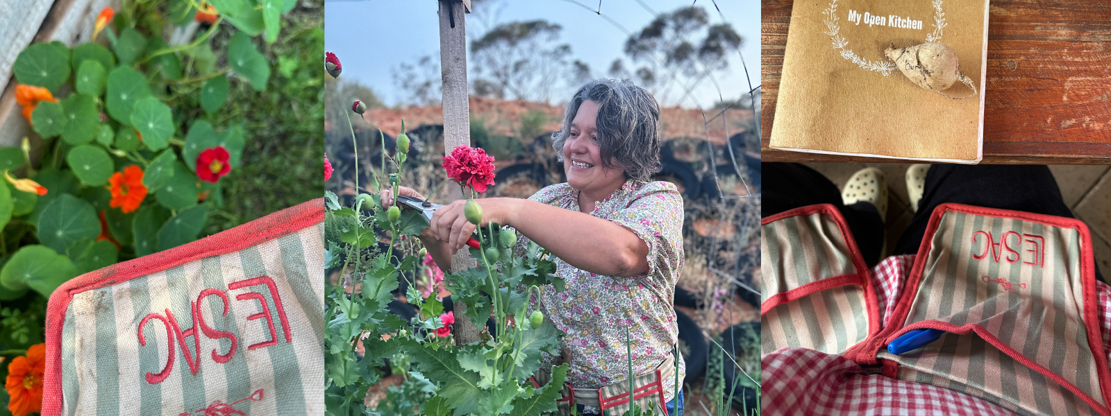 A Day in the Garden with Sue Heward