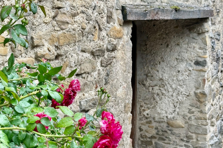 Postcards From Abroad - August