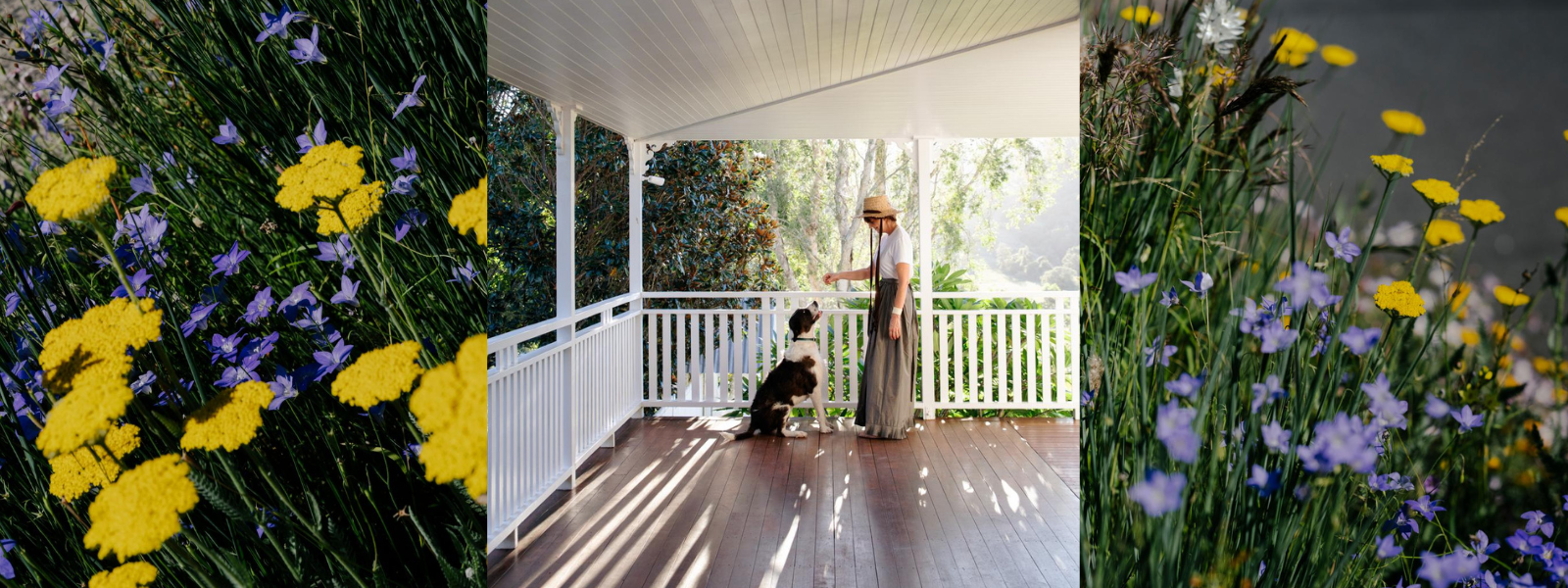 A Day in the Garden - Megan Morton's life at Mimosa Moon