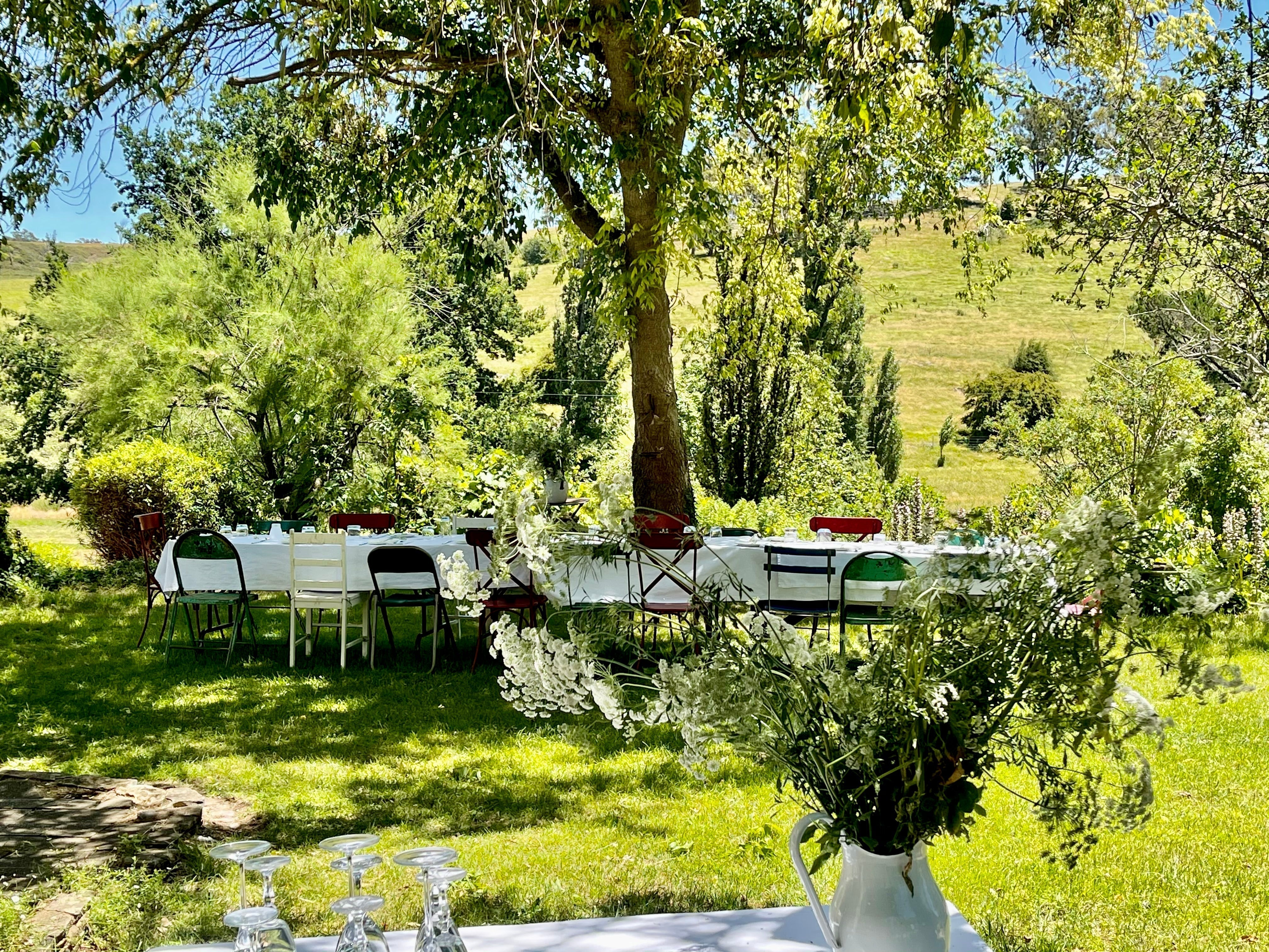 April in the Garden - Trisha's Meanderings