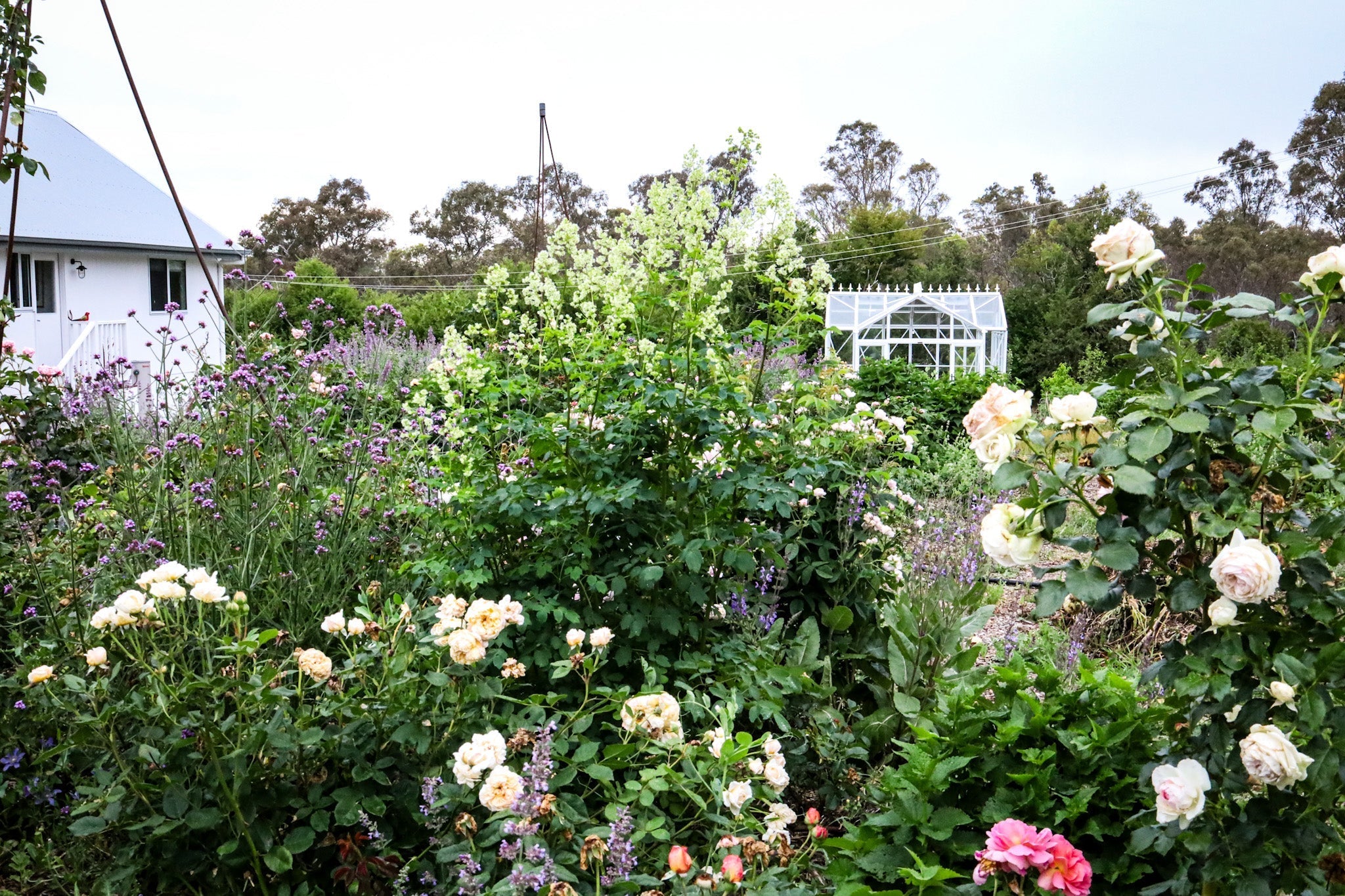 How to Build a Garden from Nothing - Lessons from Pip Steele-Wareham at The Garden at Moorfield