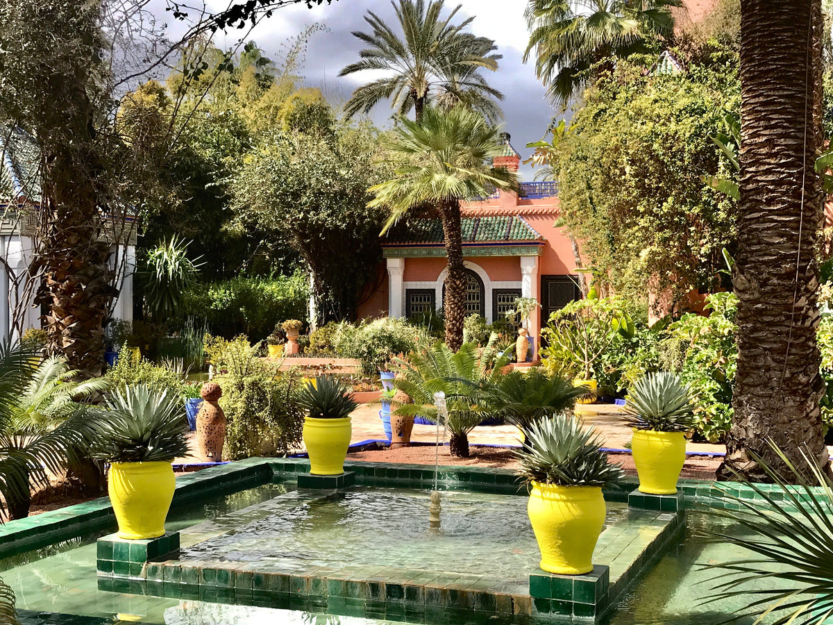 Trisha's Meanderings: Colour is Everything