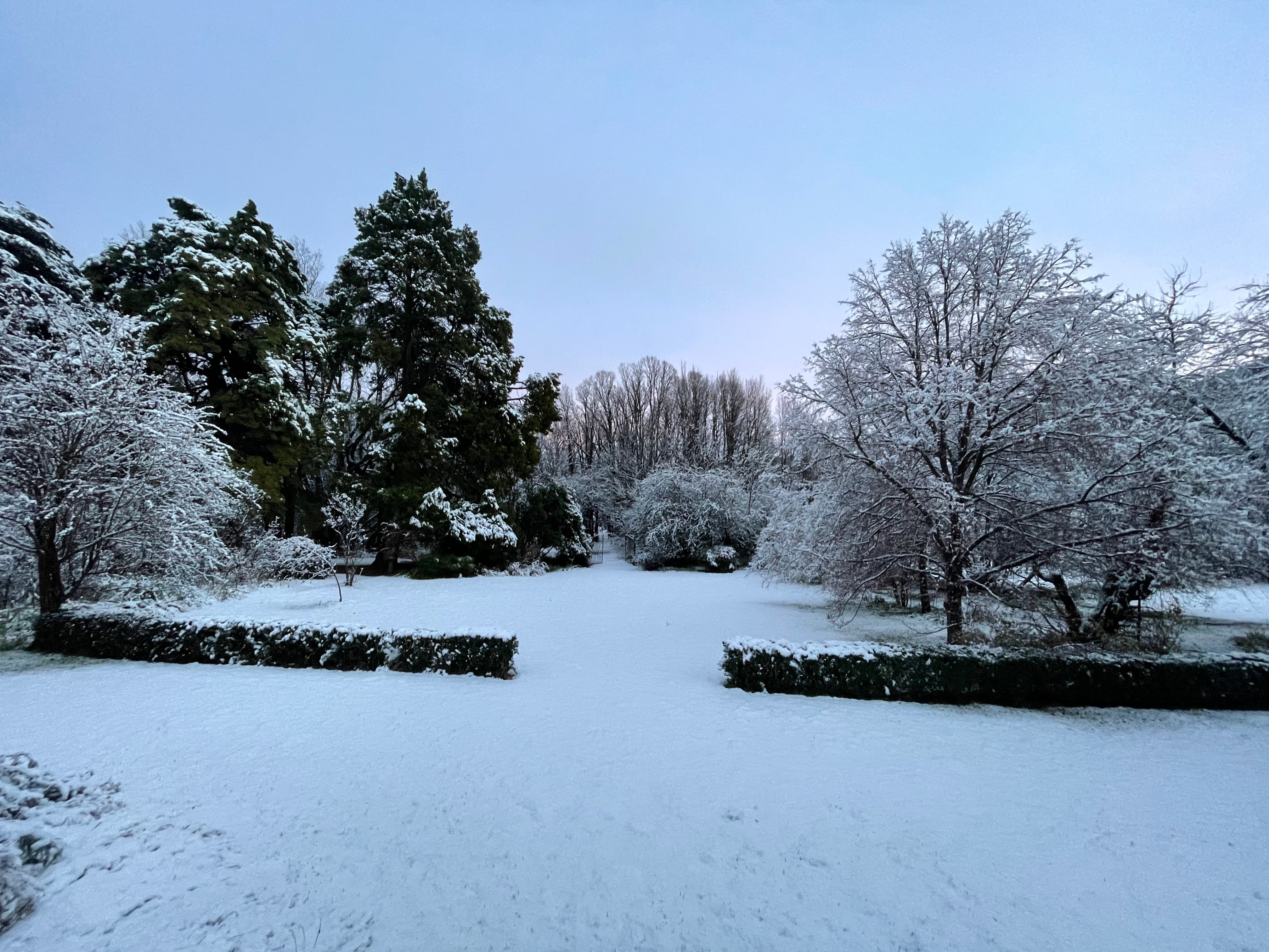 Trisha's Meanderings: The Winter Garden