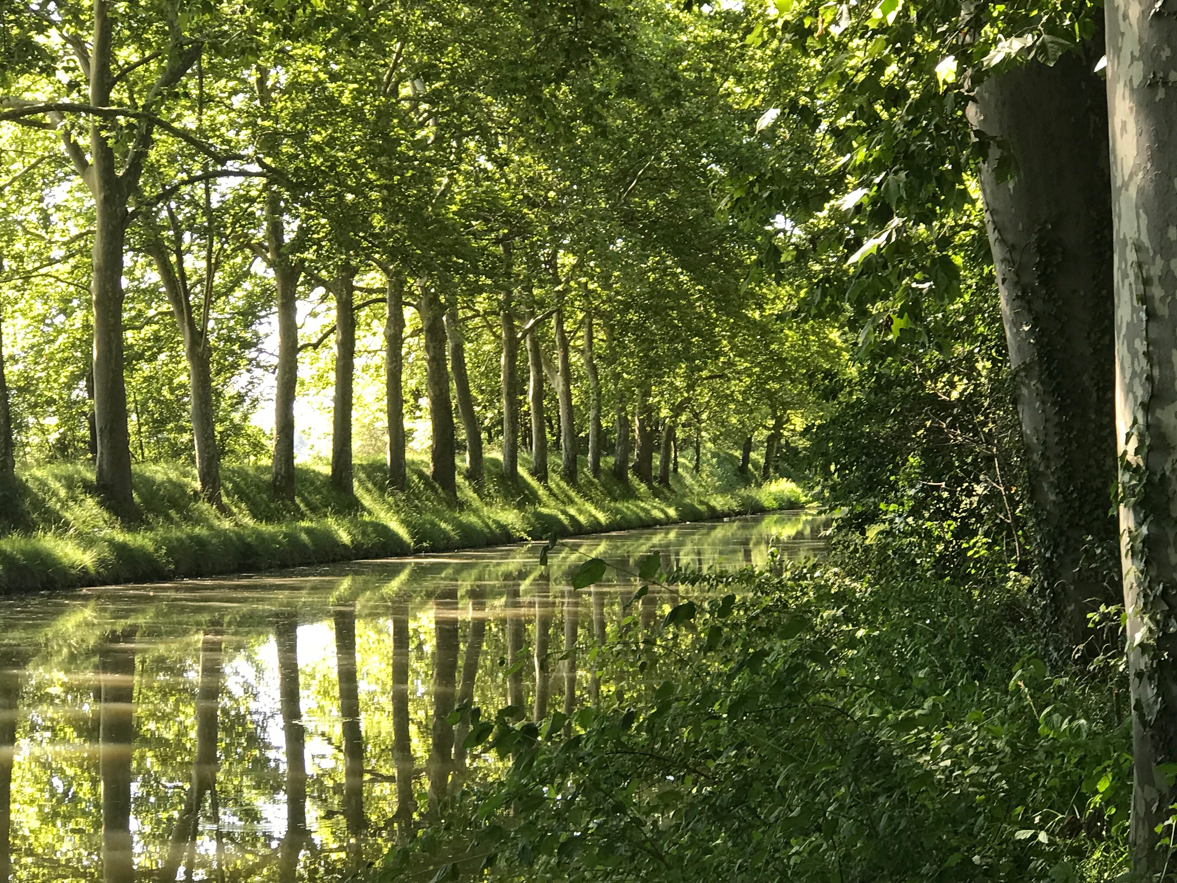 Postcards from Abroad - June
