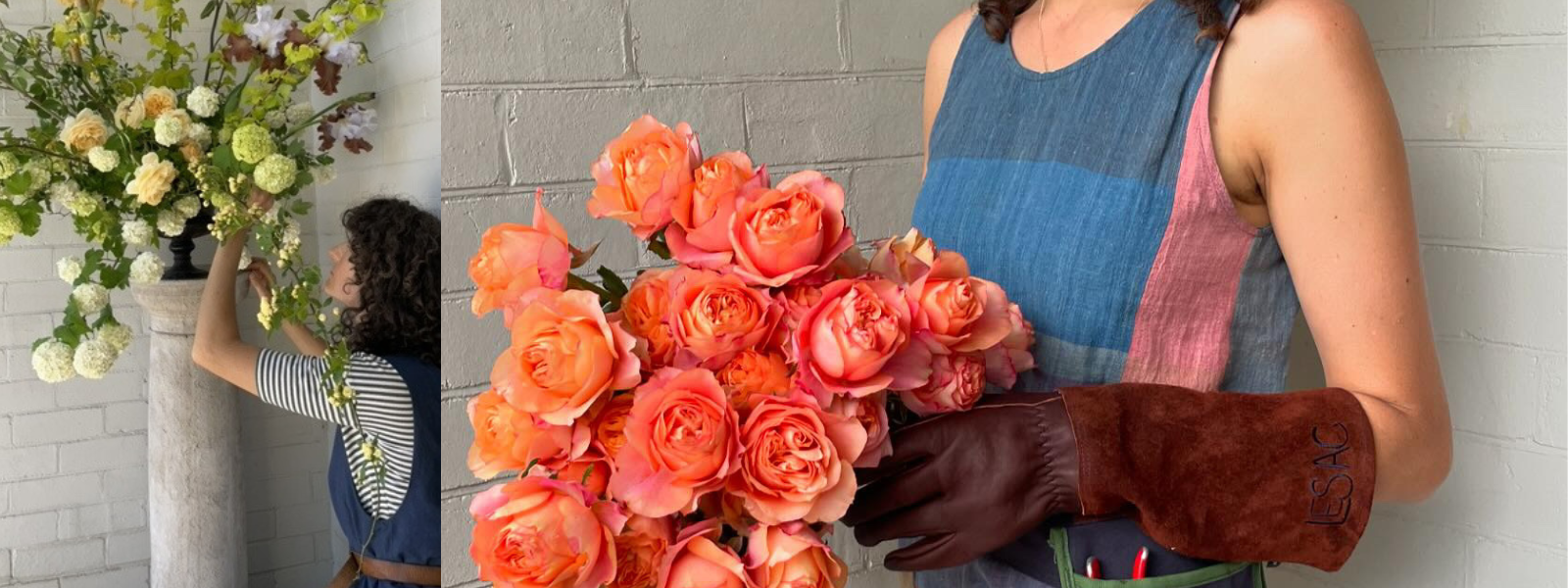 A Day in the Garden with Jardine Hansen