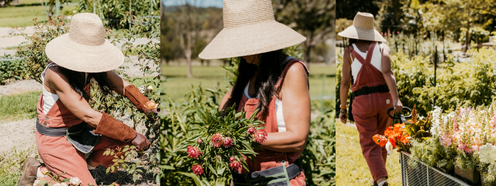 A Day in the Garden with Kathy Sheeran
