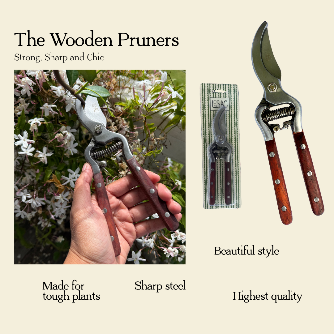 Garden Box | Le Sac x Emma Sheehan