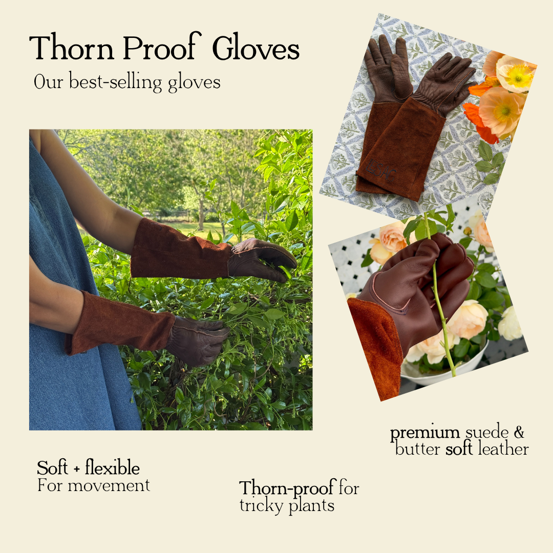 Thorn Proof Gloves | BACK IN STOCK