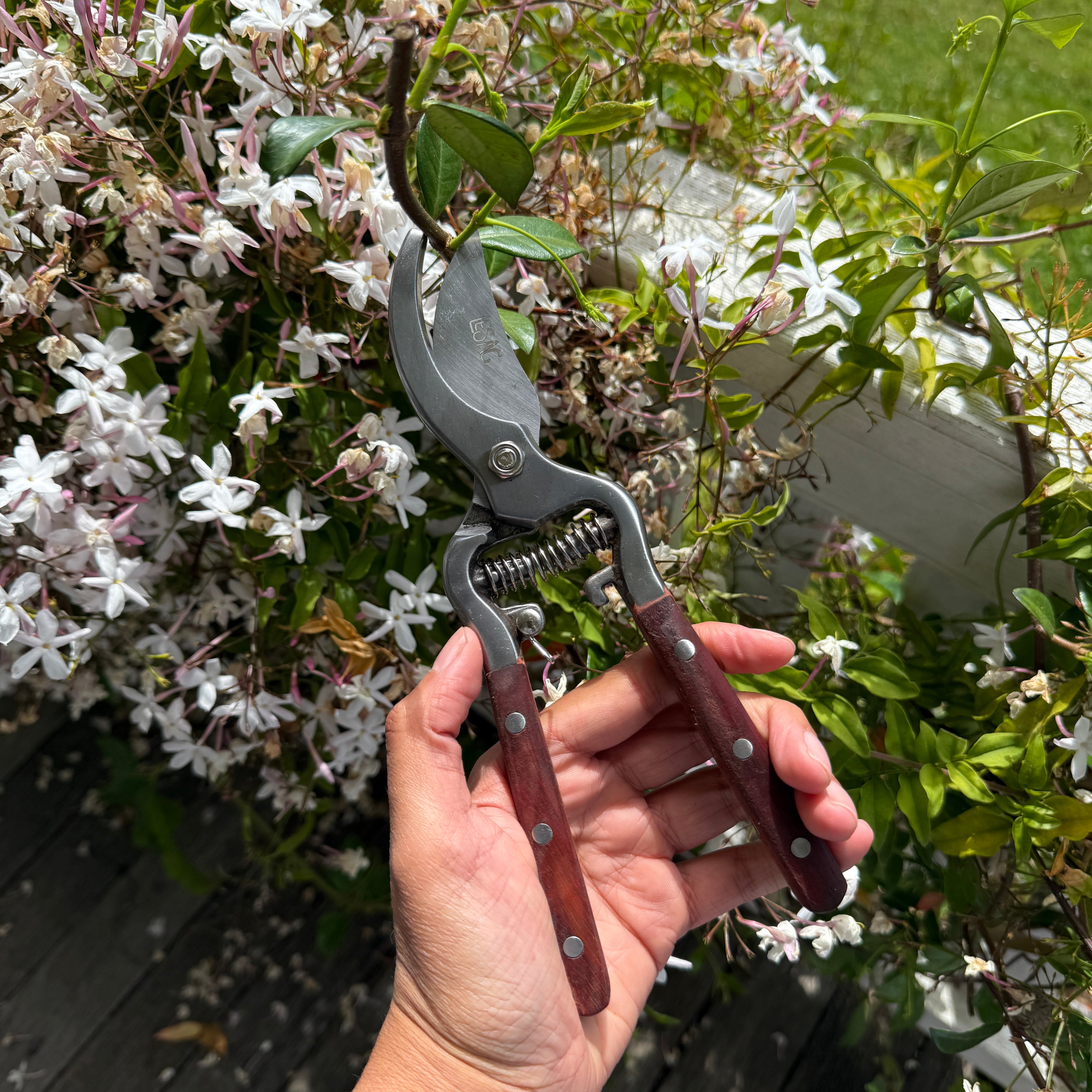Wooden + Steel Secateurs