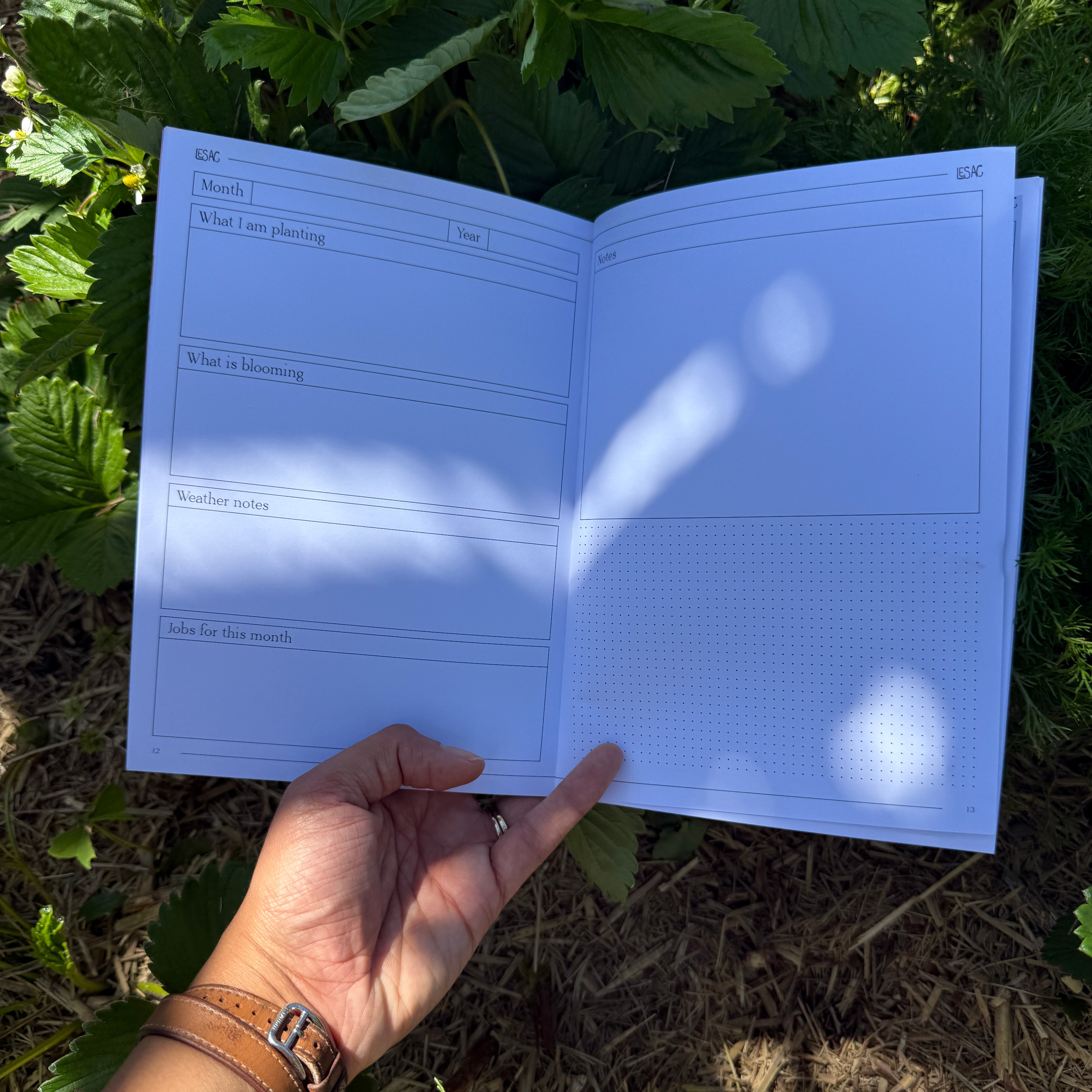 Emma Sheehan Garden Journal - COMING SOON