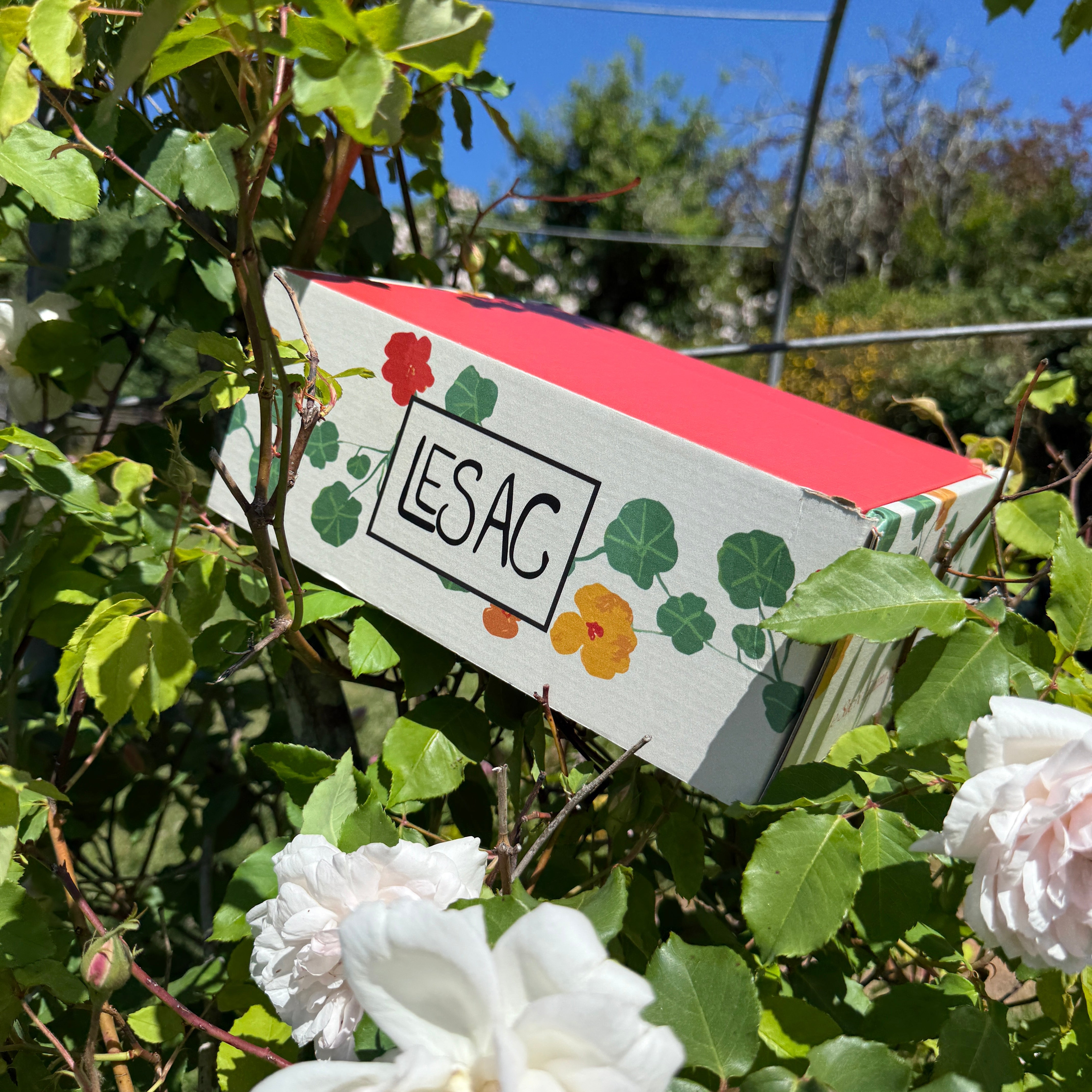 Emma Sheehan Garden Box