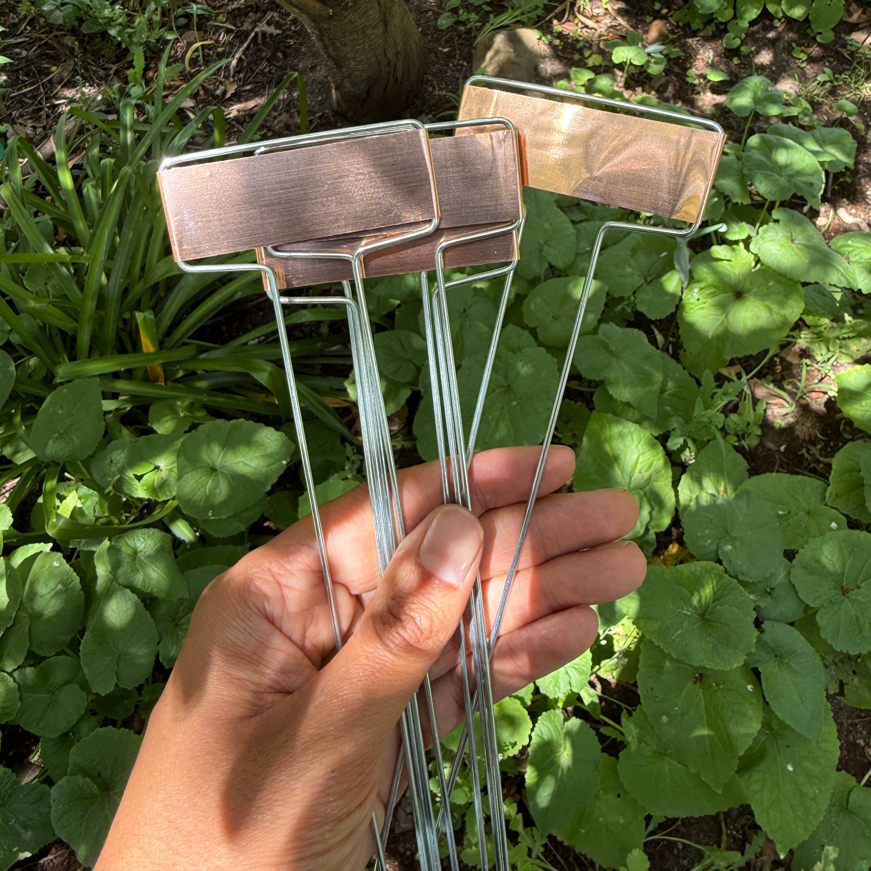 Copper Labels Set of 5