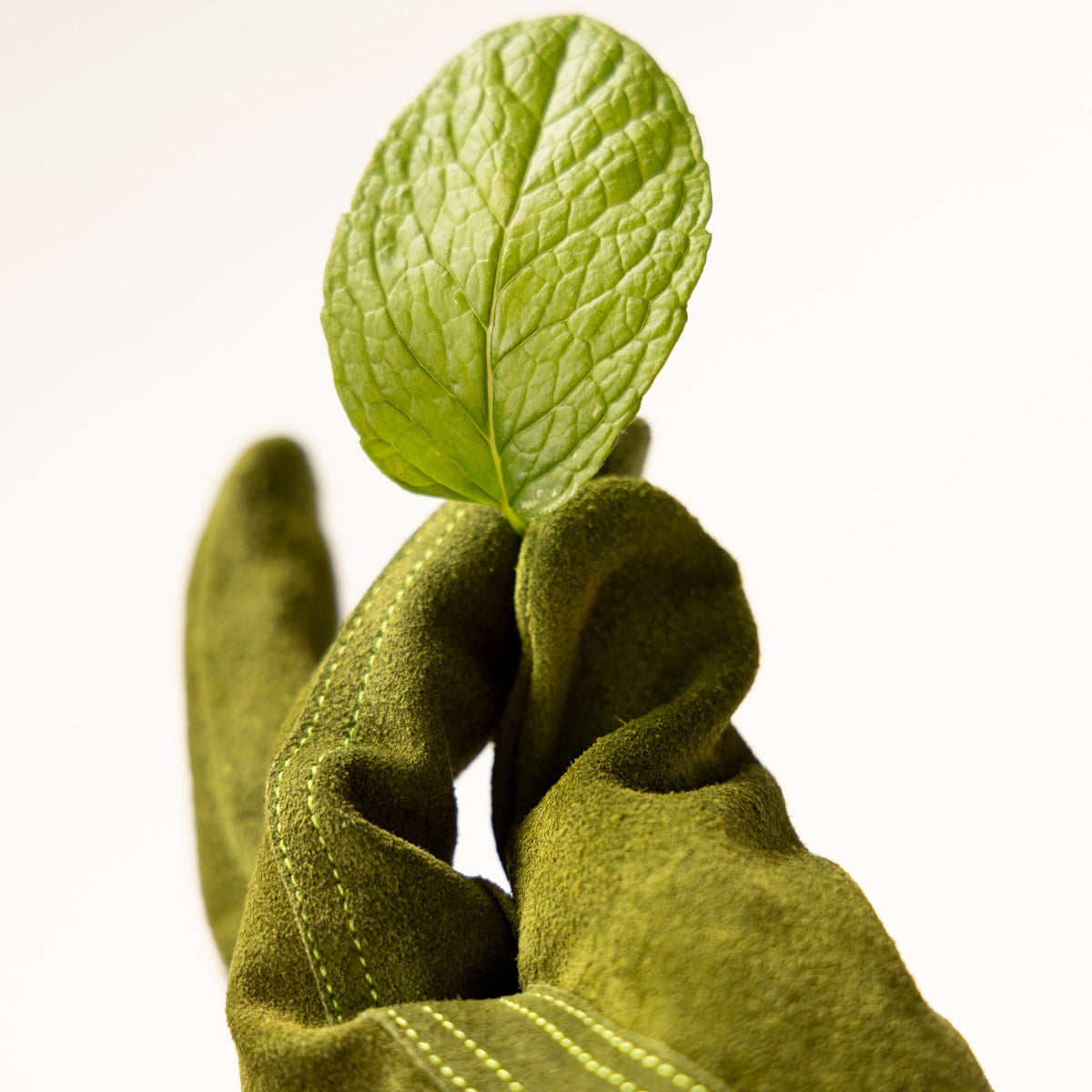 The Garden Glove Bundle - Thorn Proof Gloves & Everyday Gloves