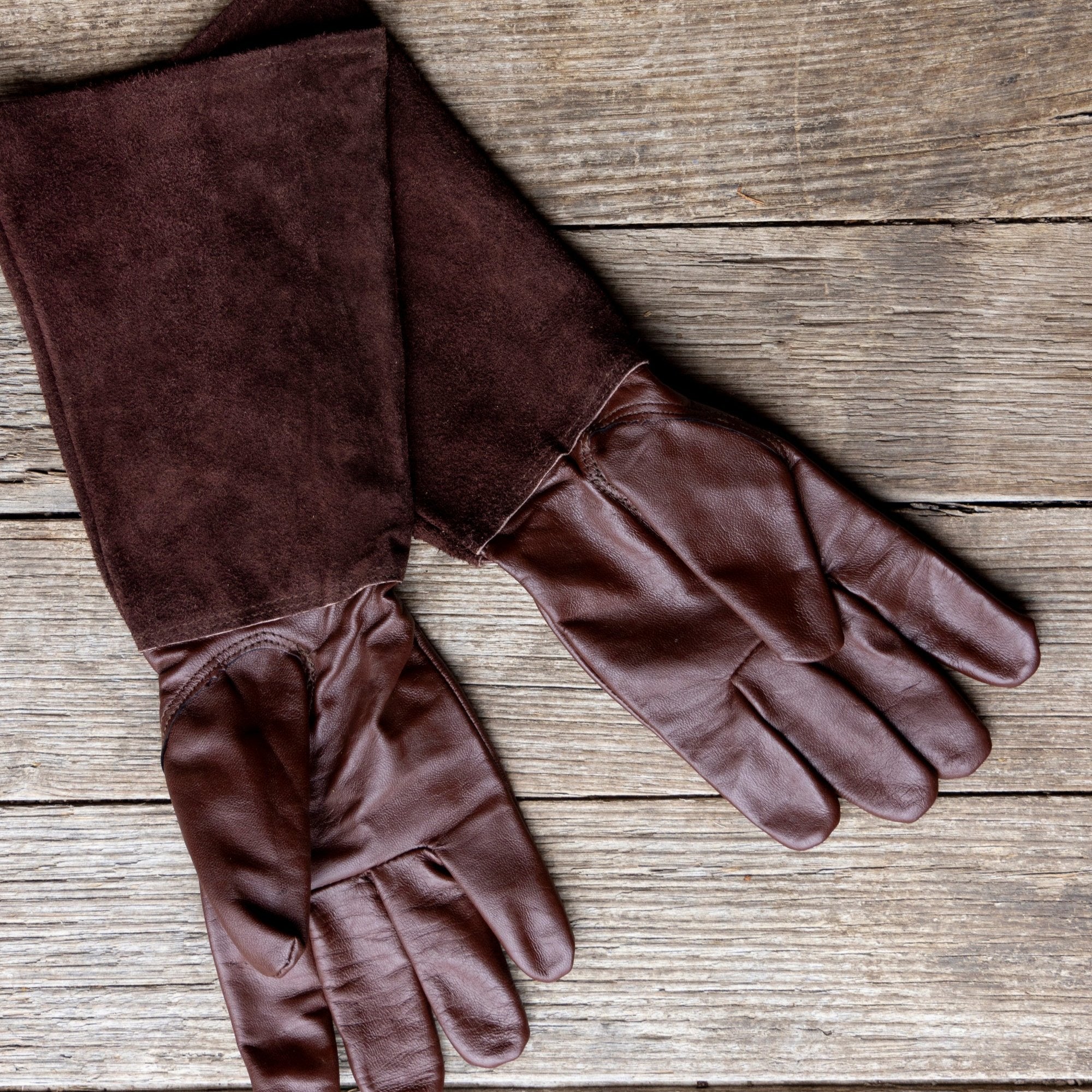 Thorn Proof Gloves - Brown