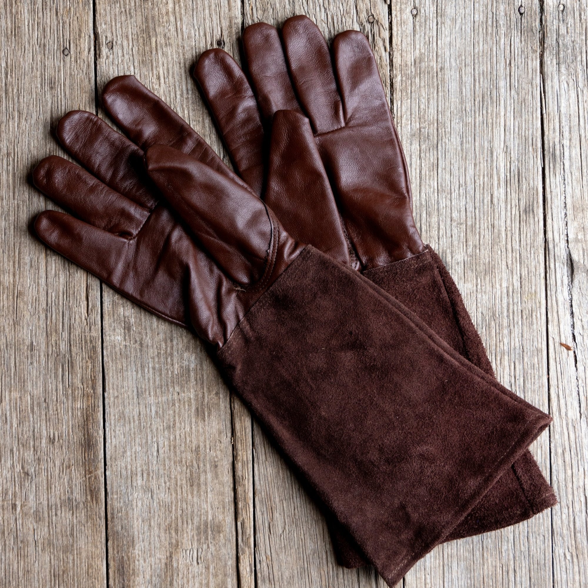 Thorn Proof Gloves - Brown