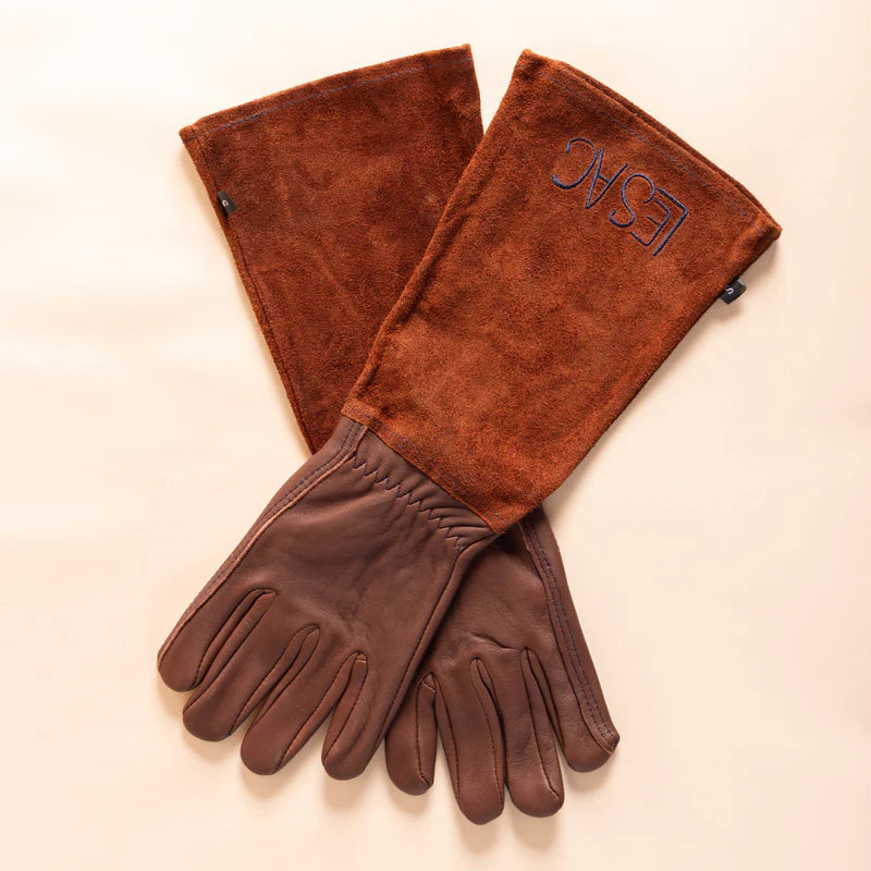 The Garden Glove Bundle - Thorn Proof Gloves & Everyday Gloves