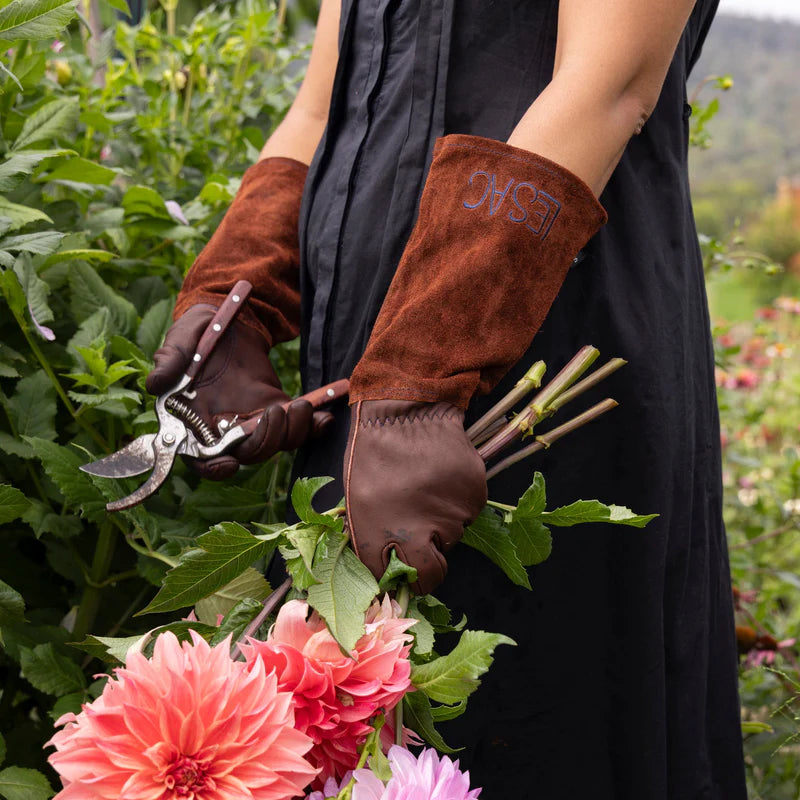 Pruning Bundle - Thornproof Gloves & Secateurs