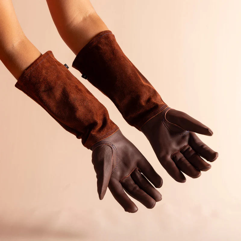 Pruning Bundle - Thornproof Gloves & Secateurs
