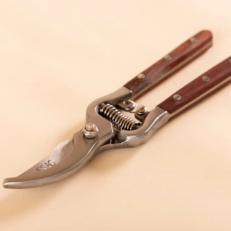 Pruning Bundle - Thornproof Gloves & Secateurs