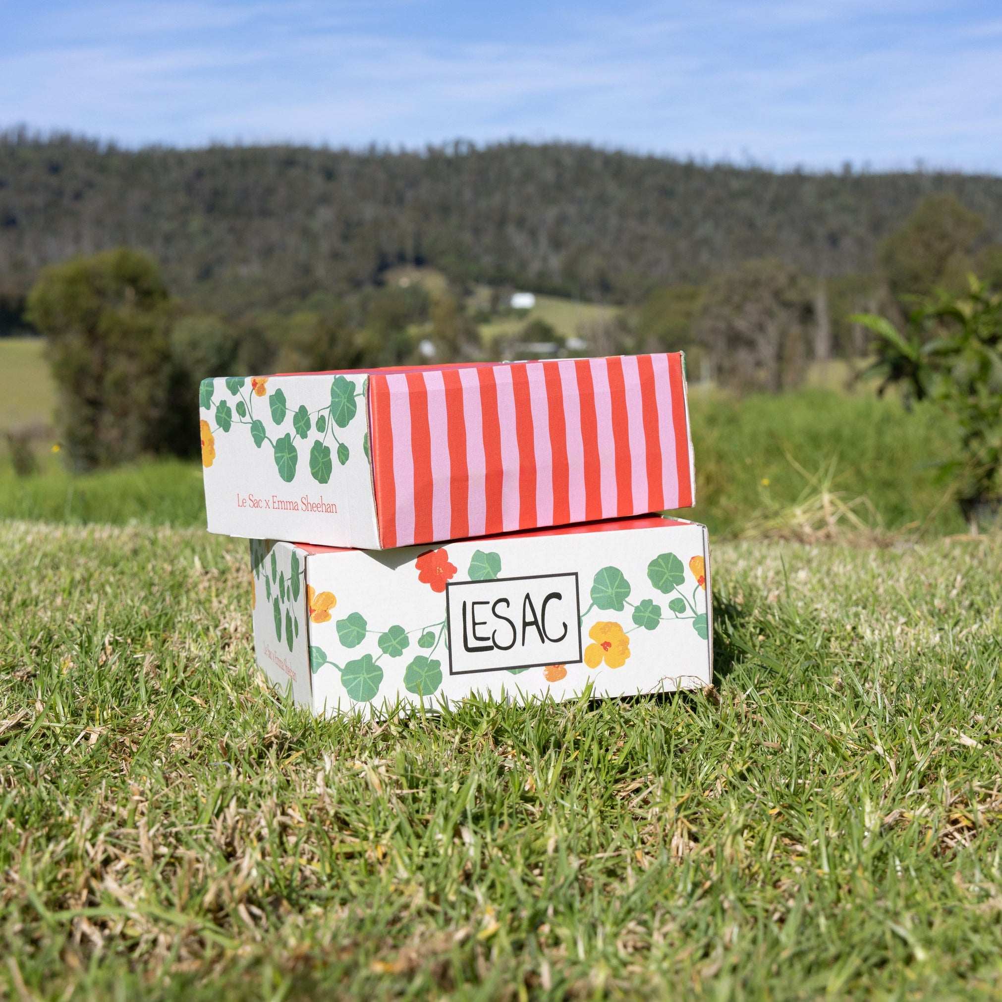 Gardener’s Surprise Box