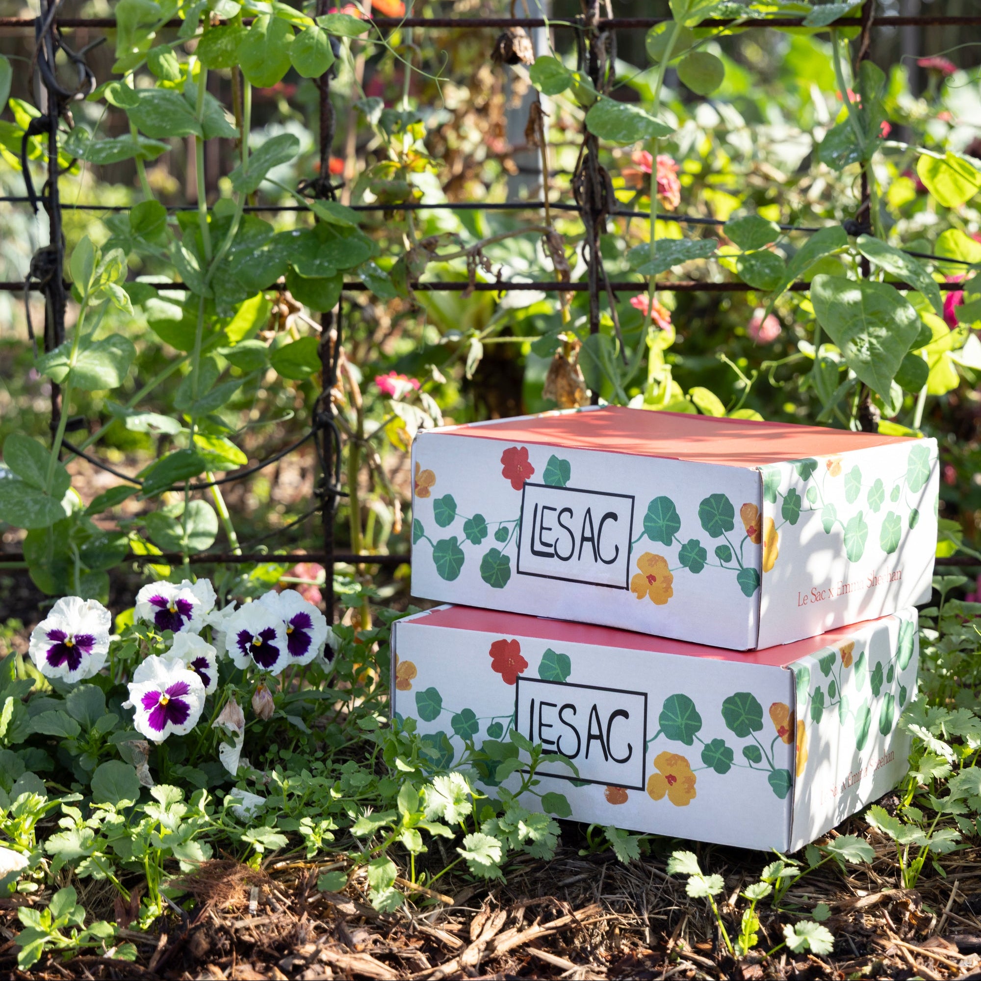Gardener’s Surprise Box