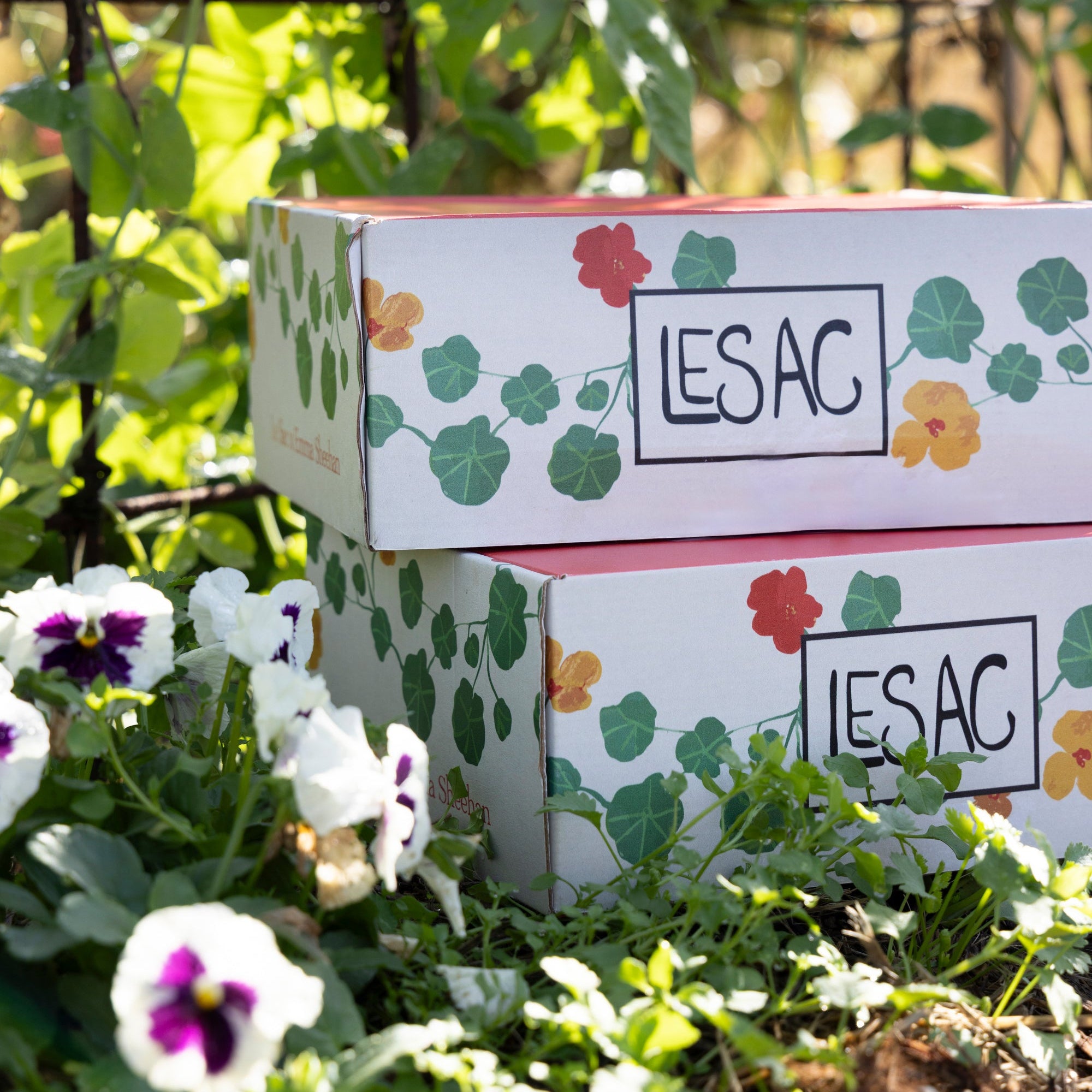 Gardener’s Surprise Box