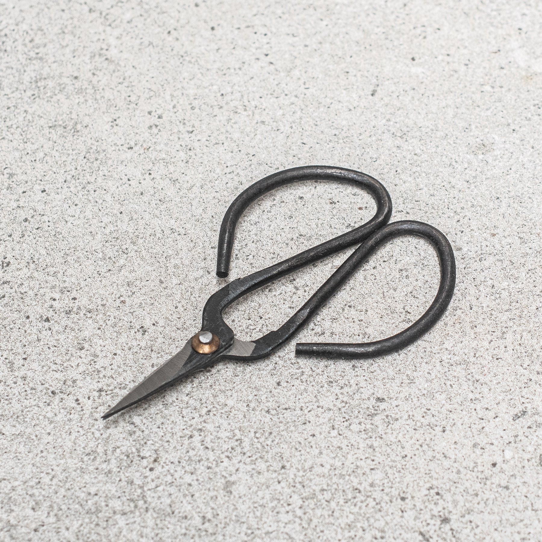 Flower Scissors