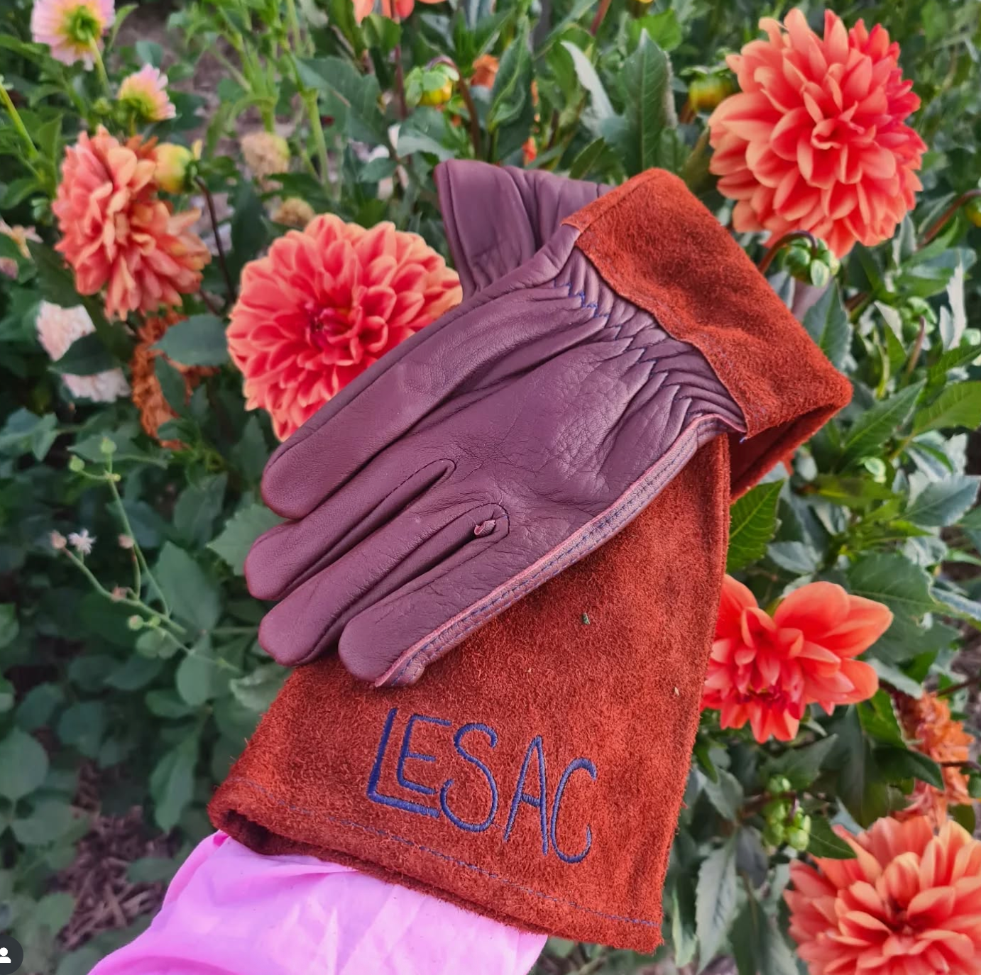 Thorn Proof Gloves - Brown