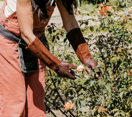 Kneeler, Belt  + Gloves Bundle | Le Sac x Outback Gardens Exclusive Collection