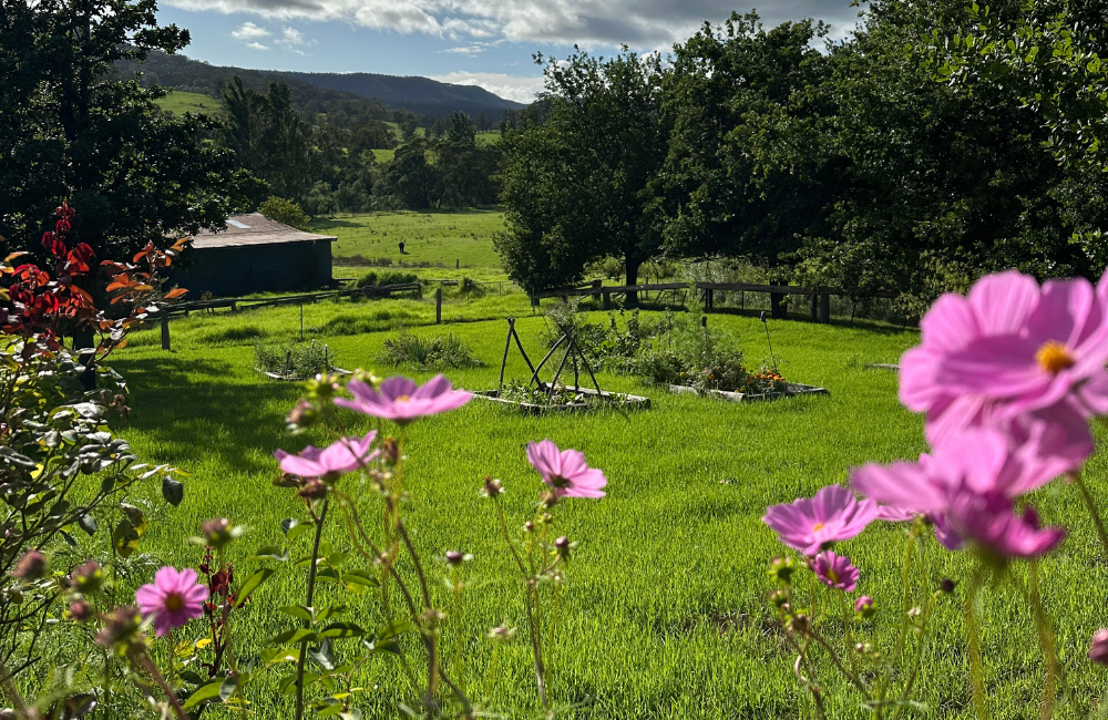 Seasons On The Farm - February