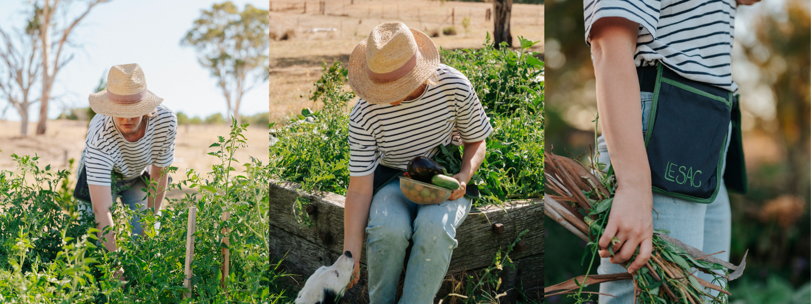 A Day in the Garden with Alexandra MacAlpine