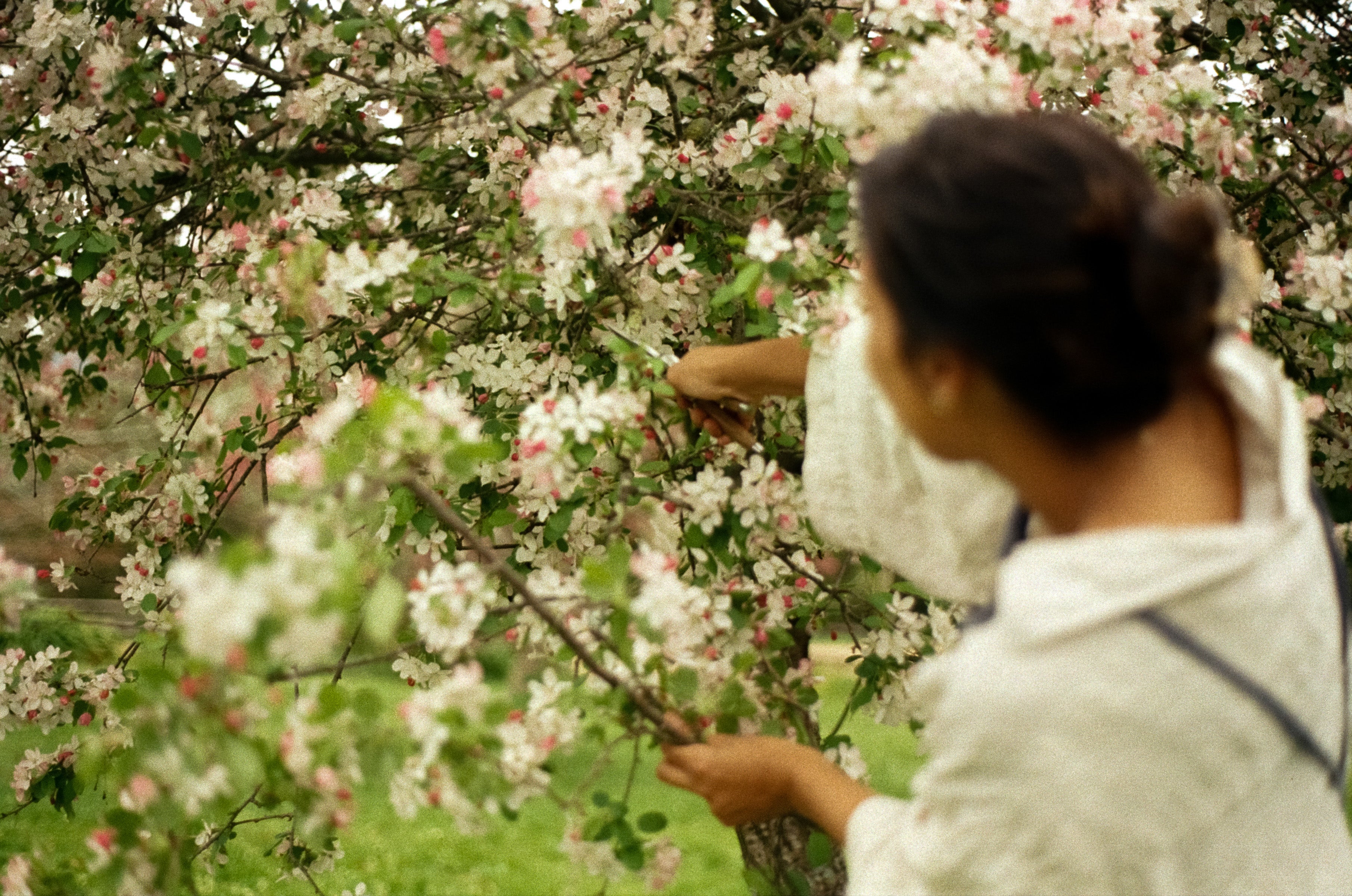 Seasons On The Farm - September