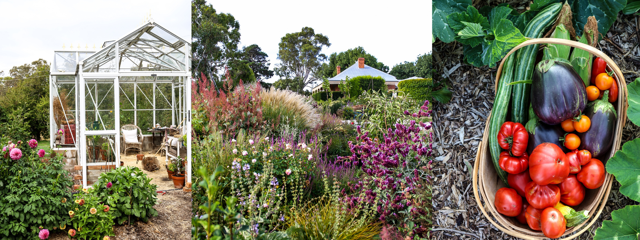A Day in the Garden with Phillida Steele-Wareham