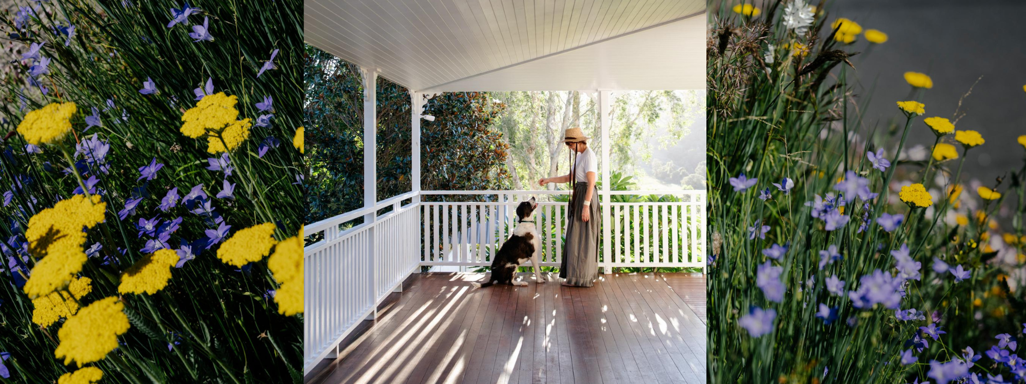 A Day in the Garden - Megan Morton's life at Mimosa Moon