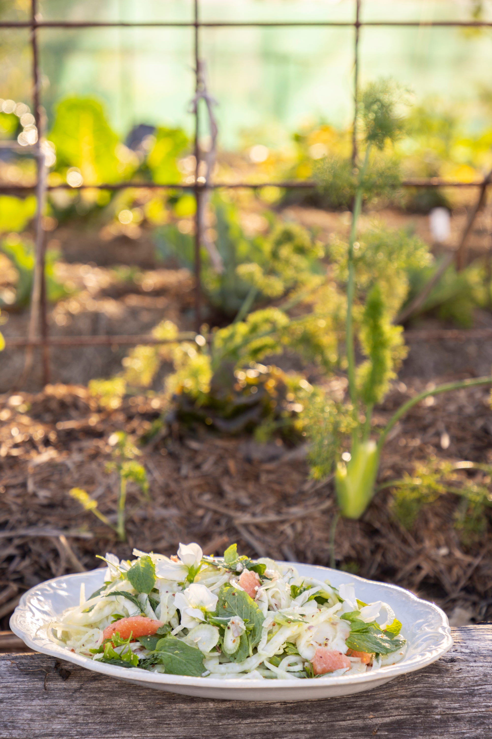 Spring Fennel & Citrus Salad