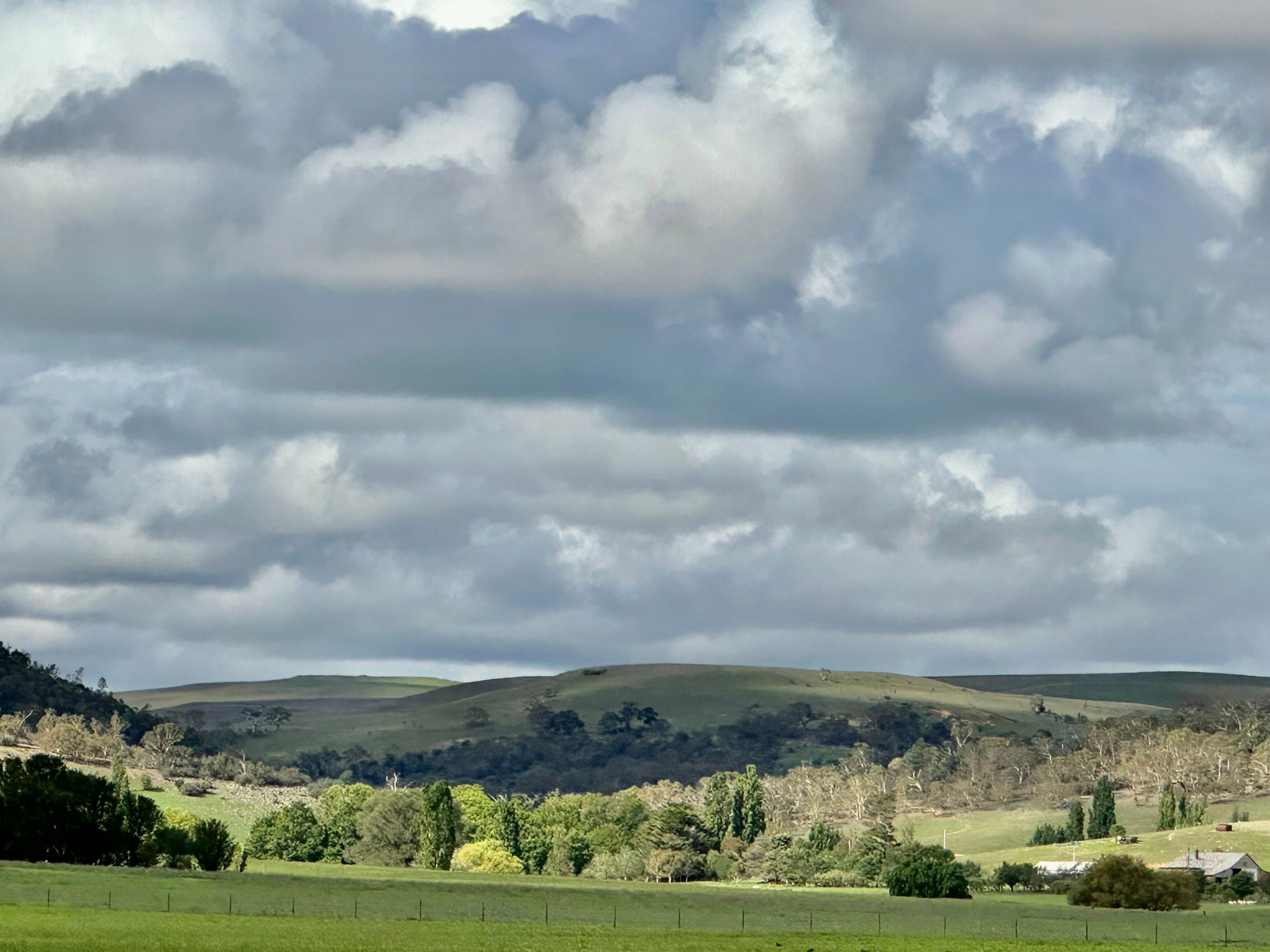 April in the Garden - Trisha's Meanderings