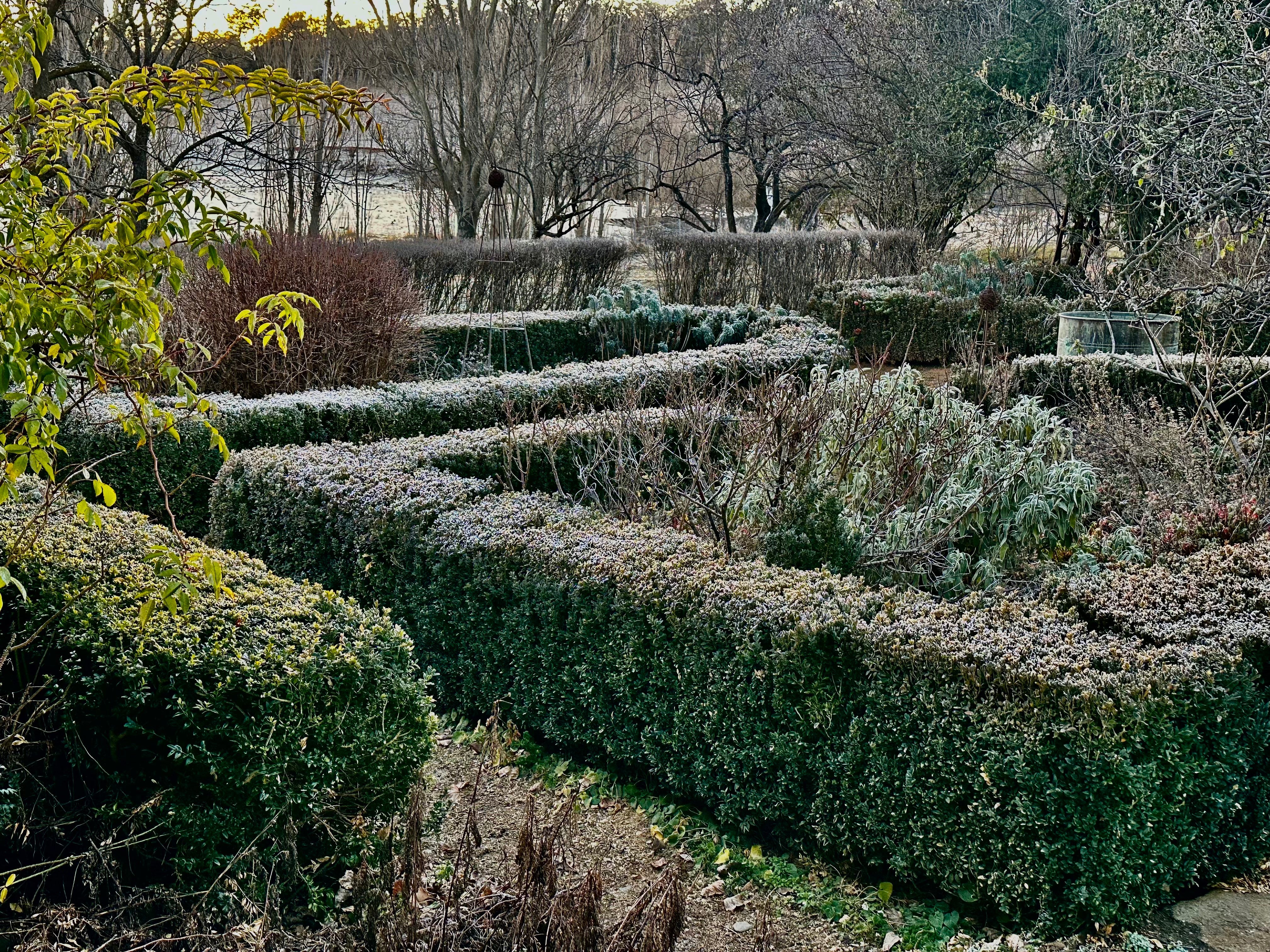 How to Make Your Garden Beautiful in Winter