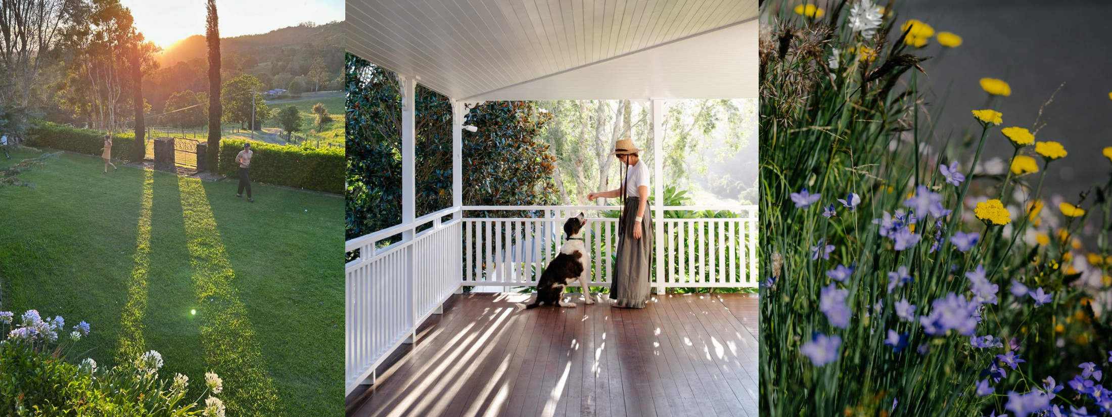 A Day in the Garden - Megan Morton's life at Mimosa Moon