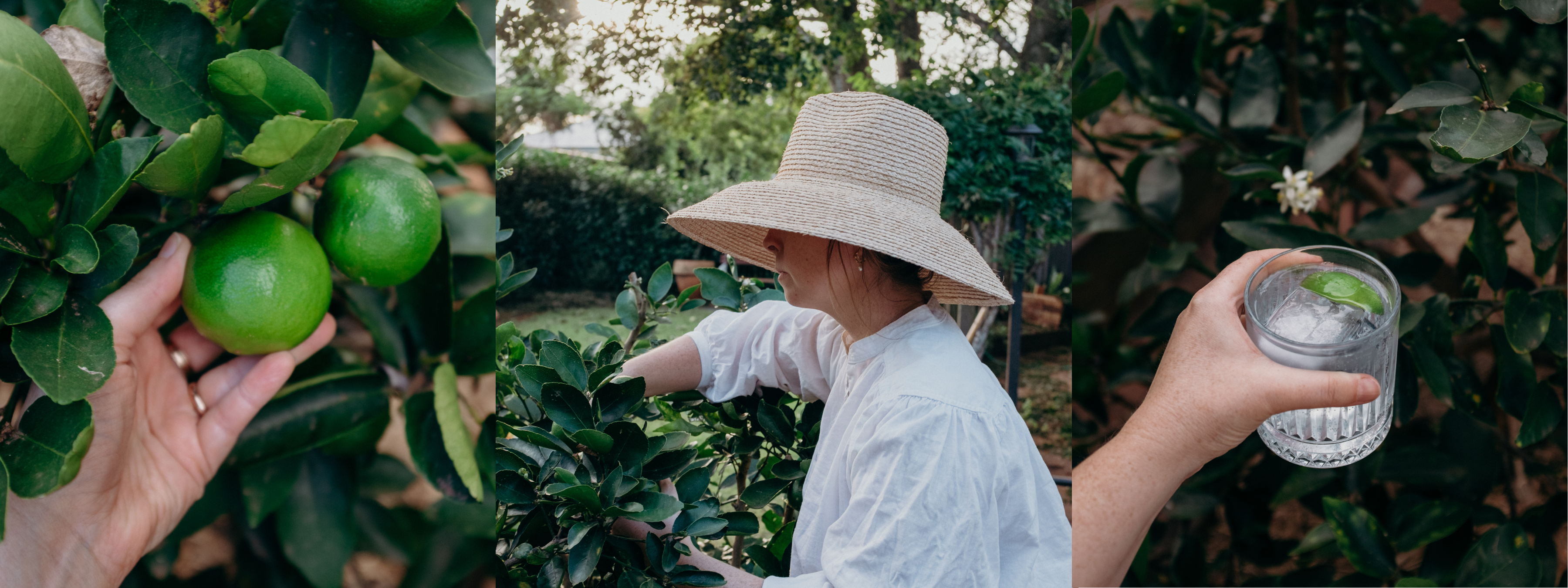 A Day in the Garden with Morgan Schwenderling Smith