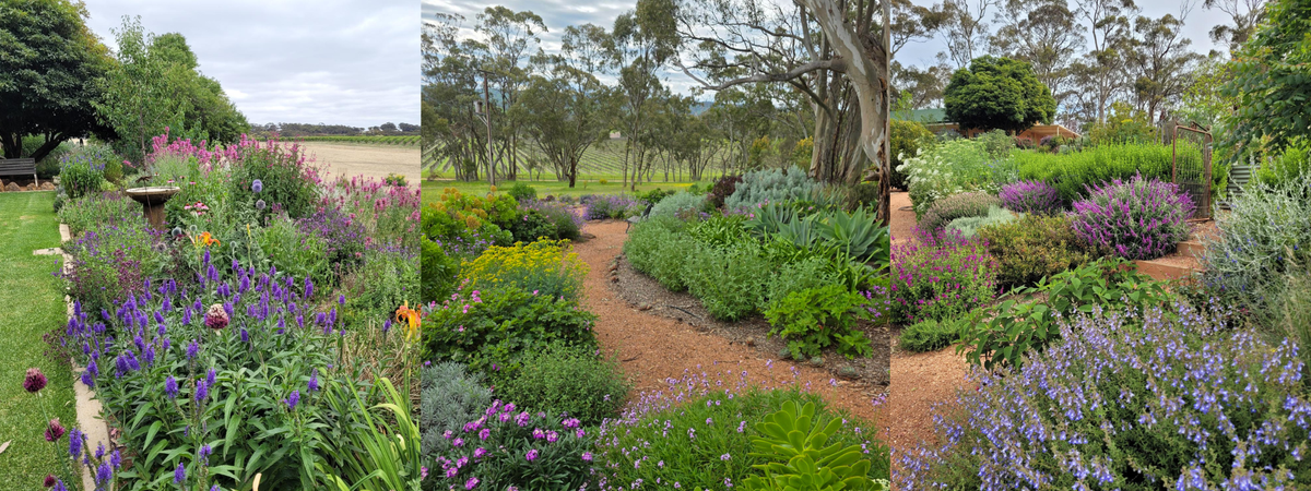Three Tips for Planning a Great Garden