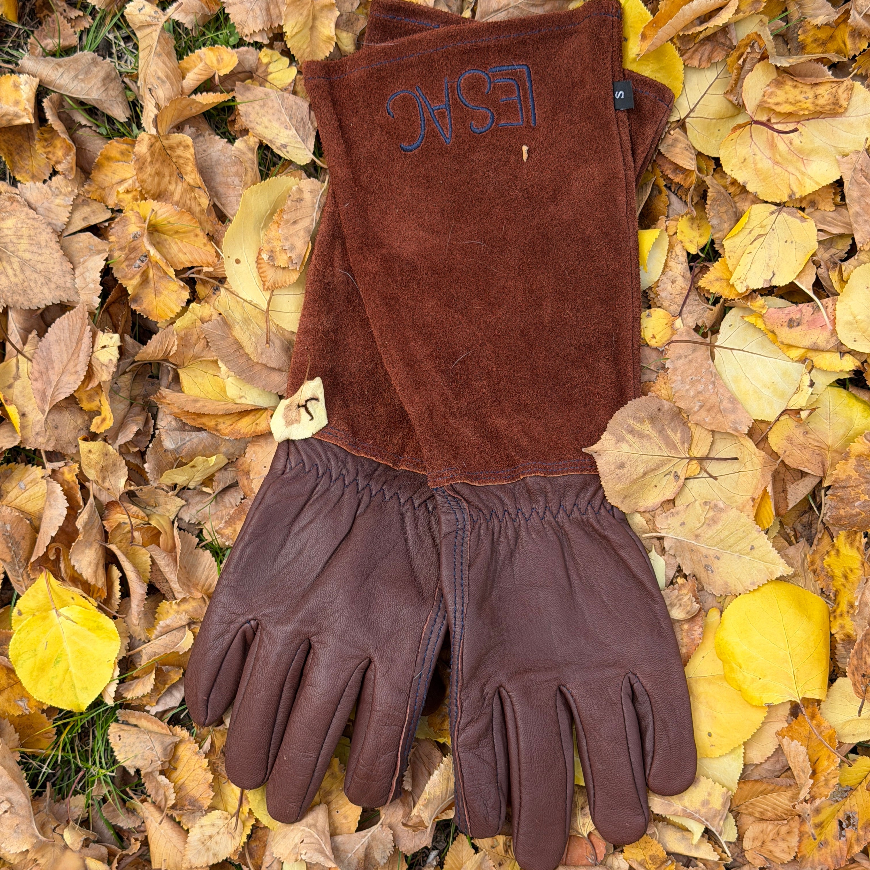 Pruning Bundle - Thornproof Gloves & Secateurs