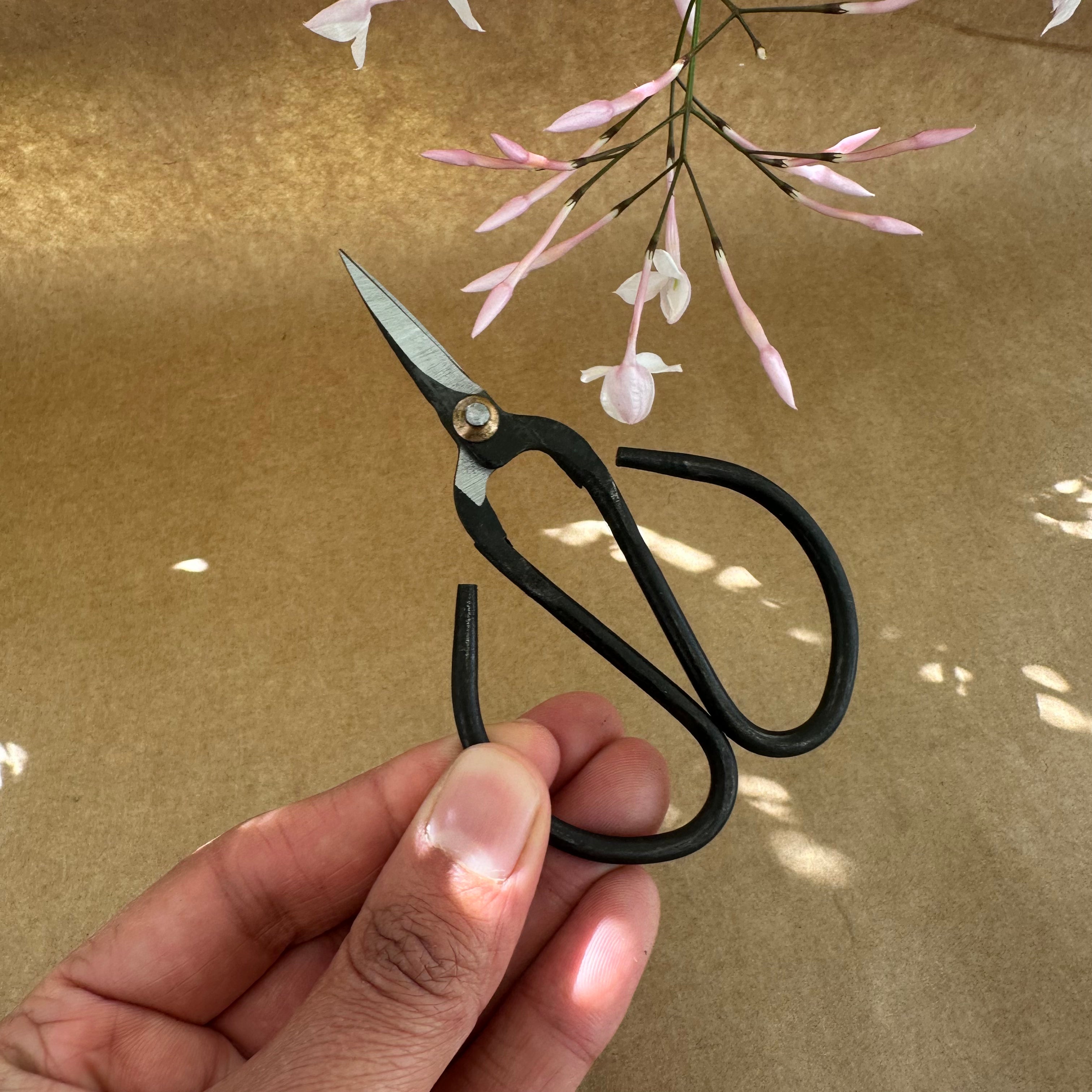 Garden Flower Scissors & Twine