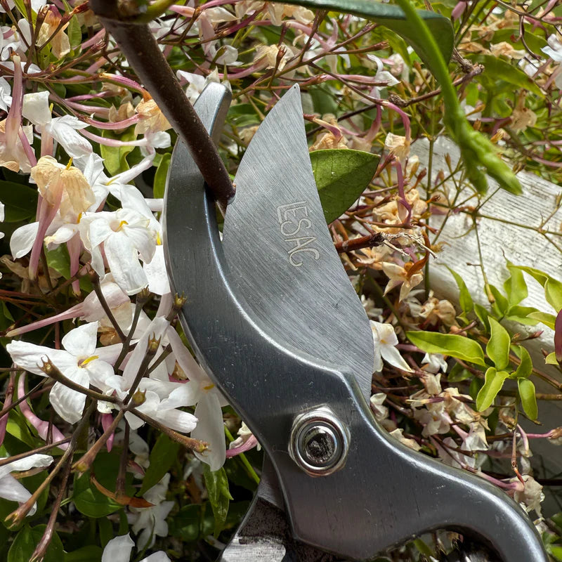 Pruning Bundle - Thornproof Gloves & Secateurs