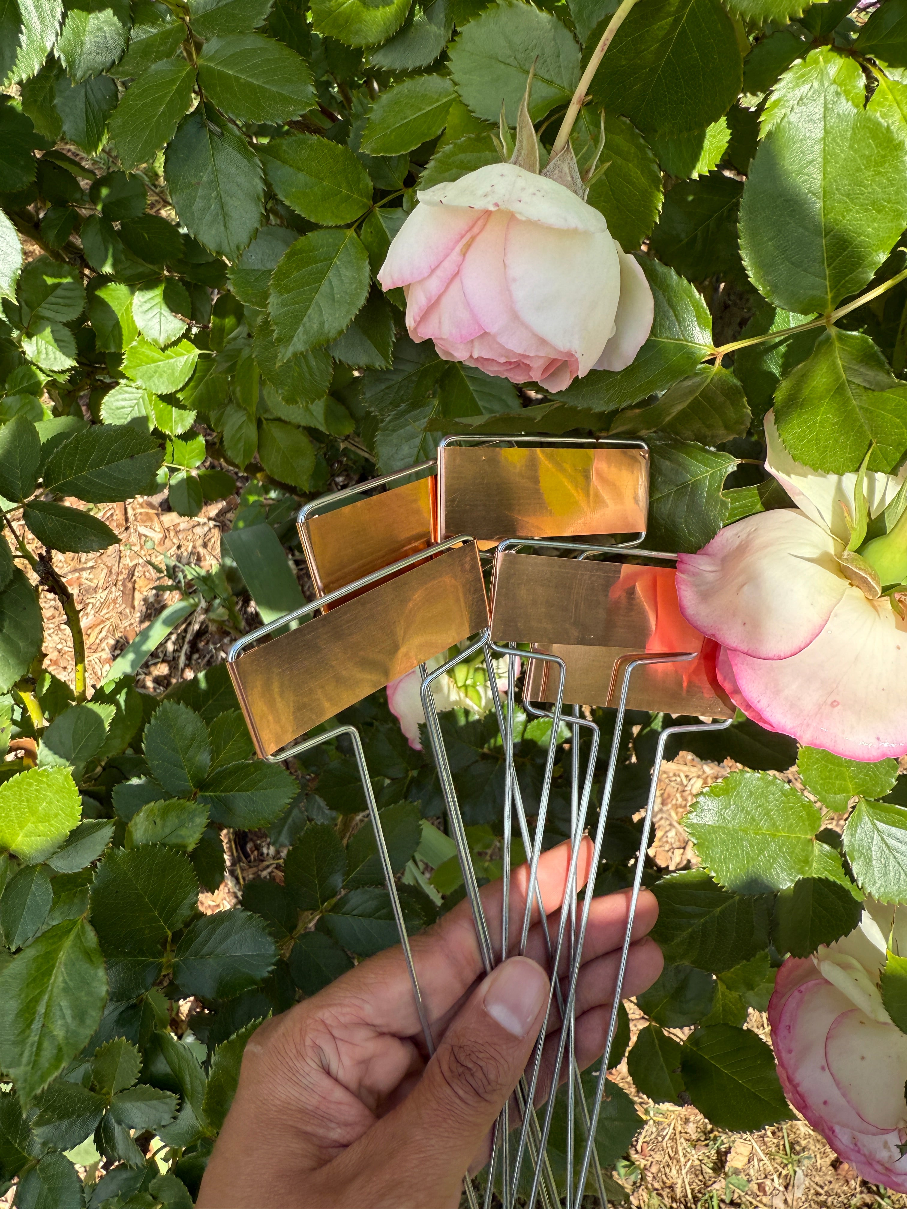 Copper Labels Set of 5