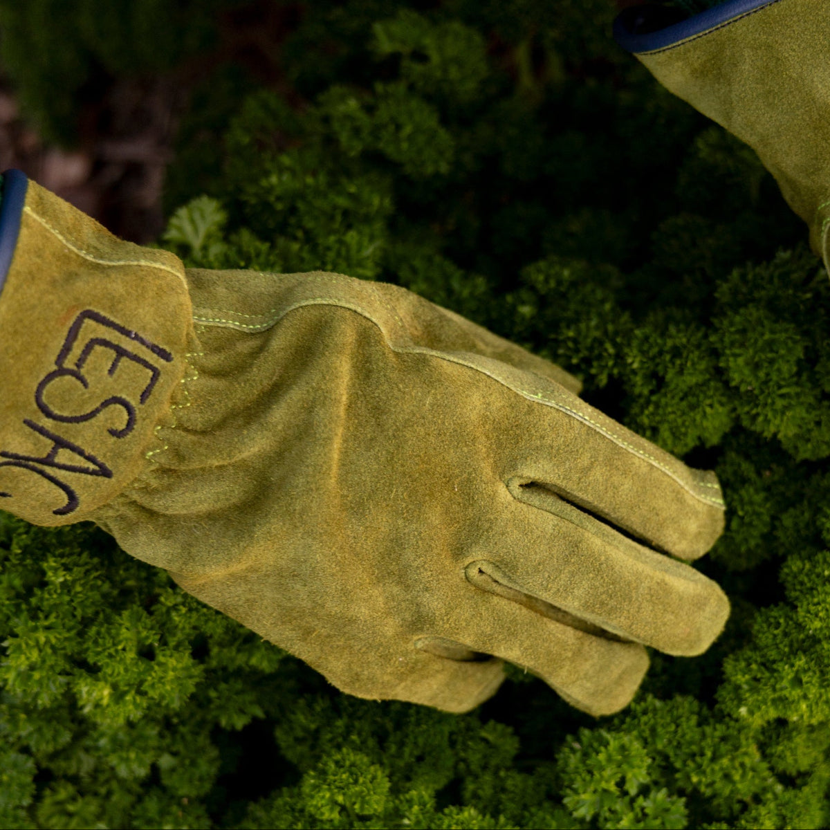 Everyday Garden Gloves - Le Sac Suede Short Glove