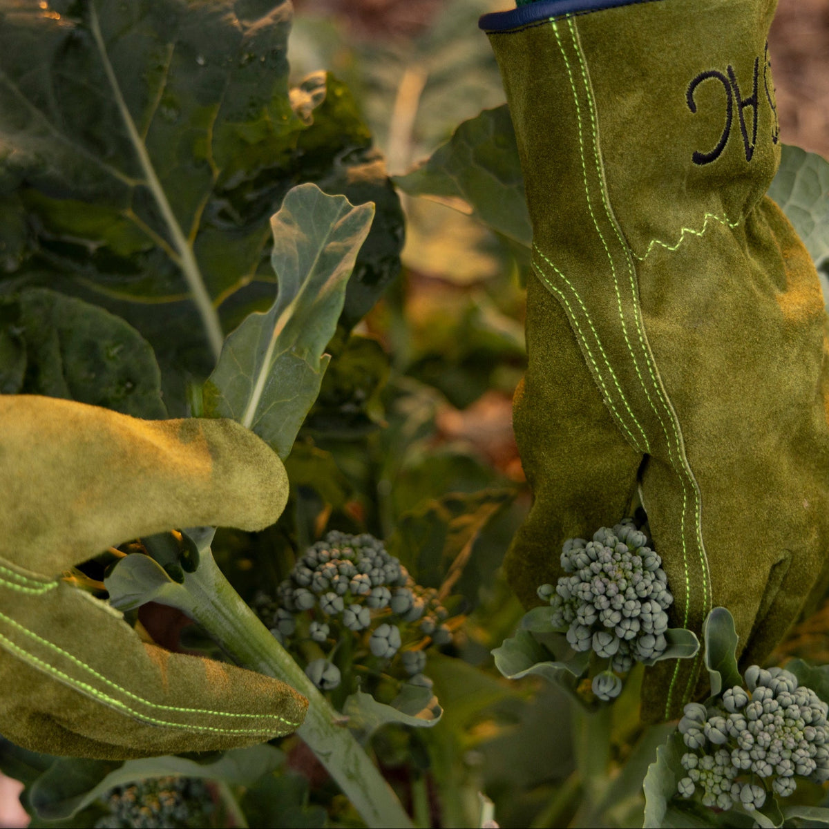 Everyday Garden Gloves - Le Sac Suede Short Glove