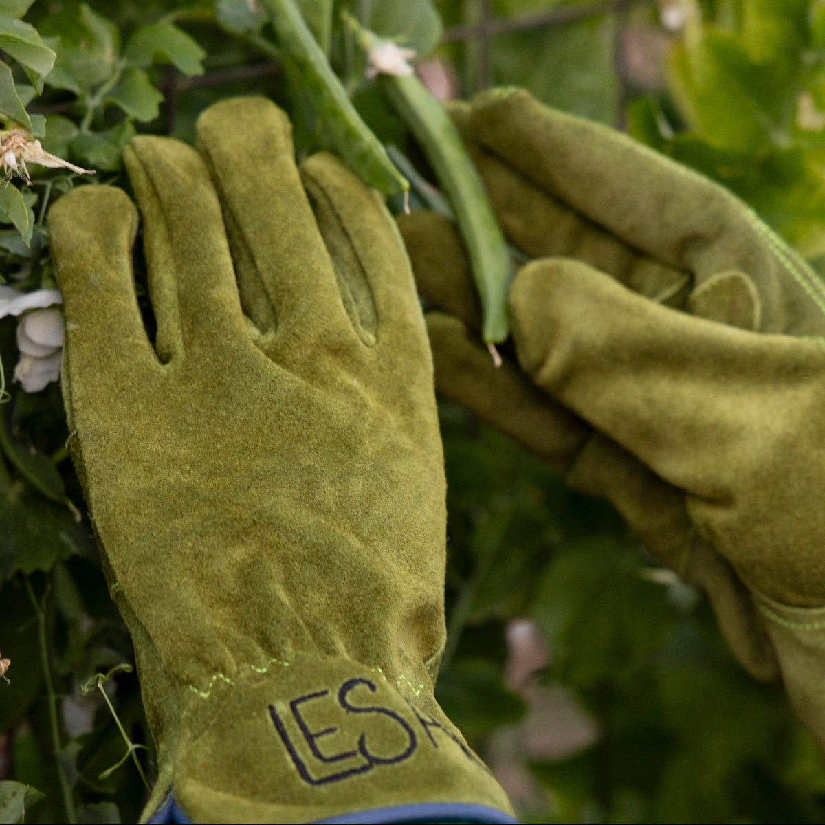 Everyday Garden Gloves - Le Sac Suede Short Glove