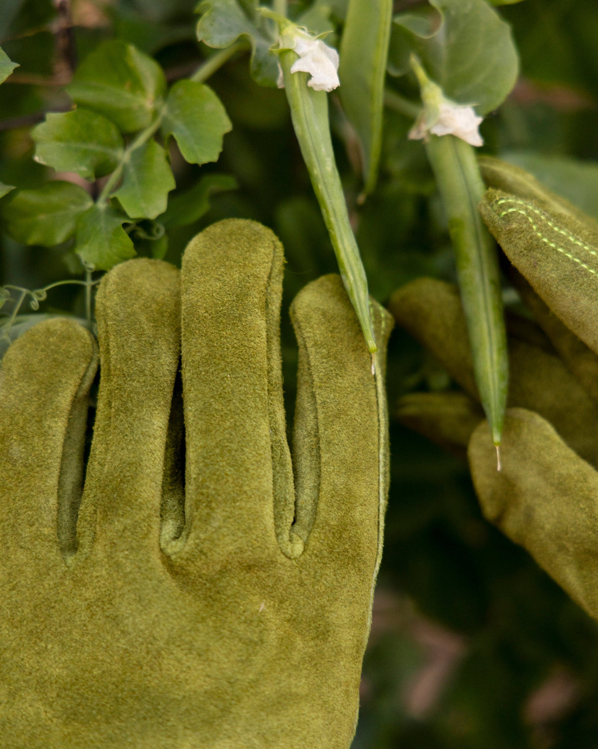Everyday Garden Gloves - Le Sac Suede Short Glove